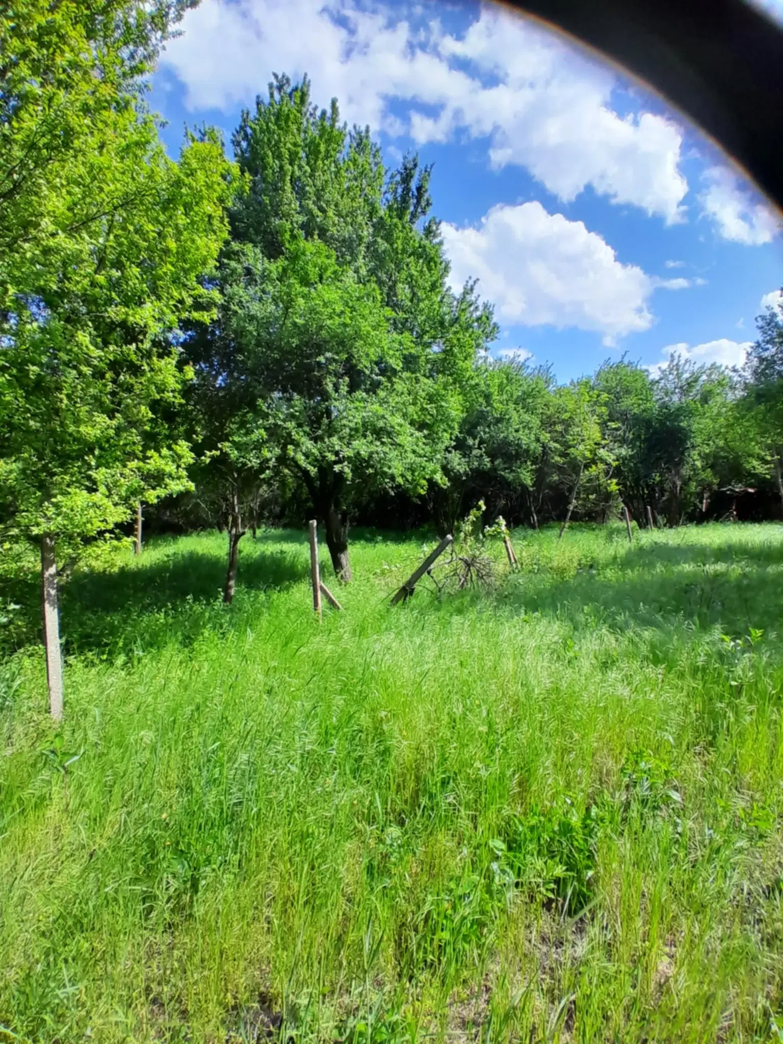 Klassiek Balkan huis op 1.604 m² in Vodna, Vidin - Bulgarije