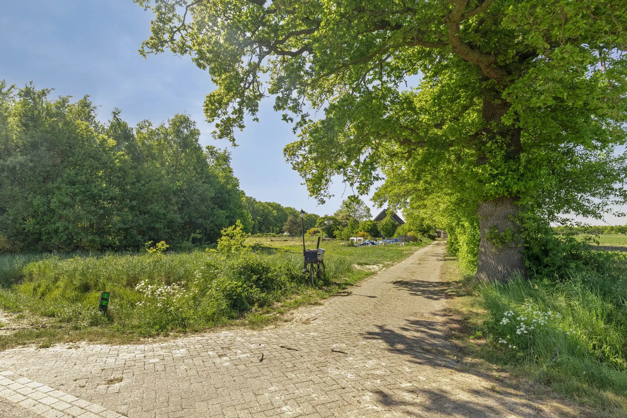 Ane, Nieuwlandweg 1