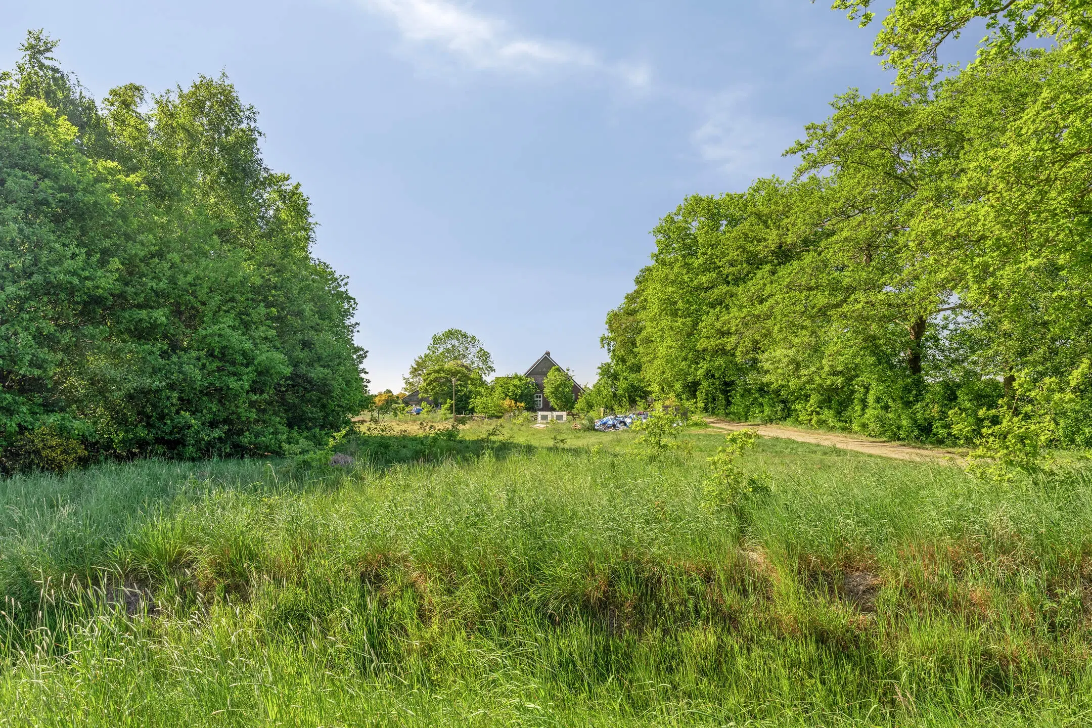 Ane, Nieuwlandweg 1
