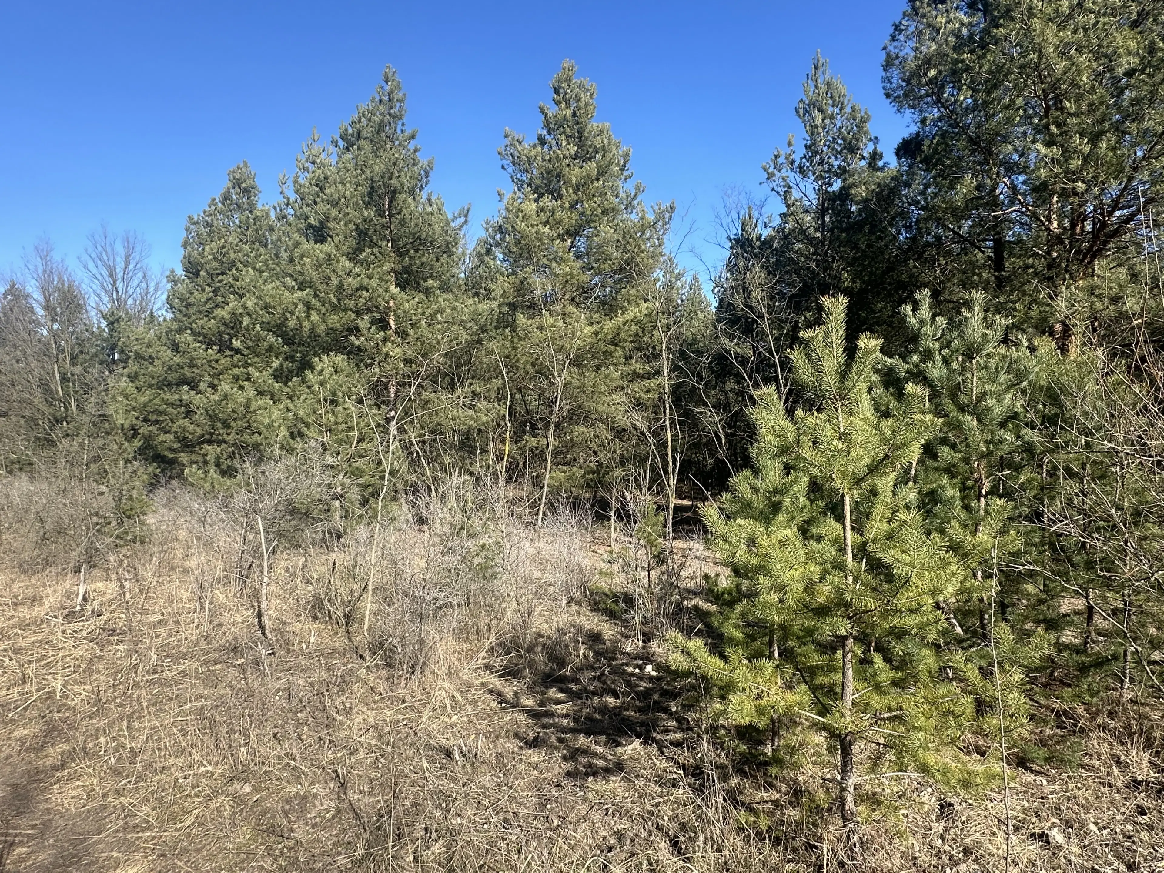 Twee vrije percelen van totaal 4.710 m² in Spremberg, Brandenburg - Duitsland