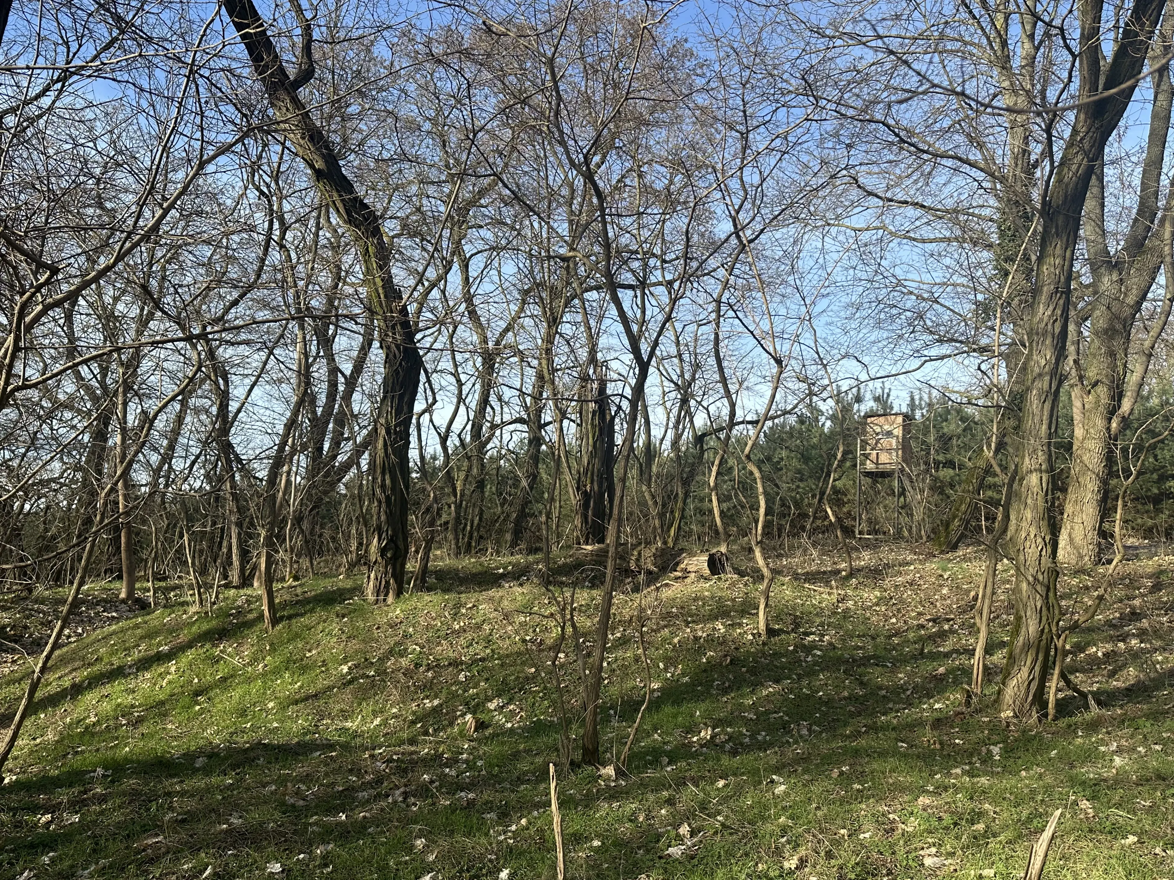 Twee vrije percelen van totaal 4.710 m² in Spremberg, Brandenburg - Duitsland