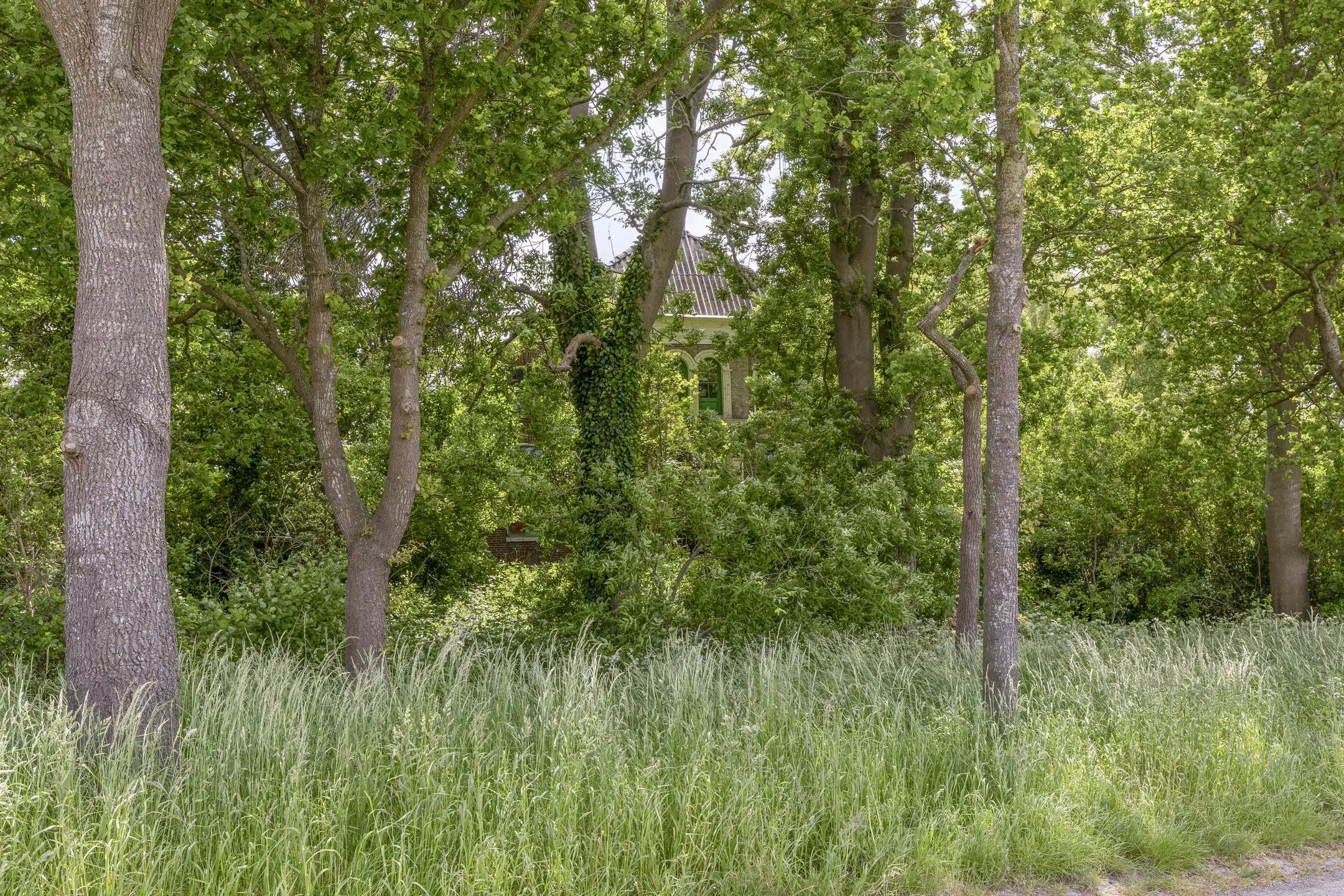 Bellingwolde, Hamsterweg 24