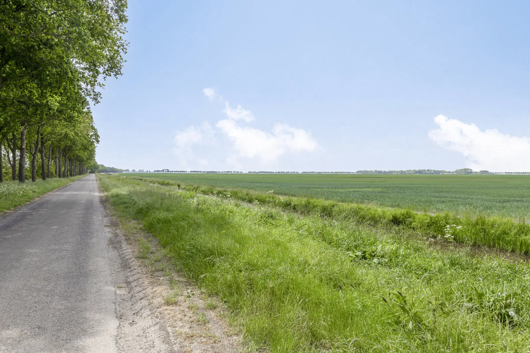 Bellingwolde, Hamsterweg 24