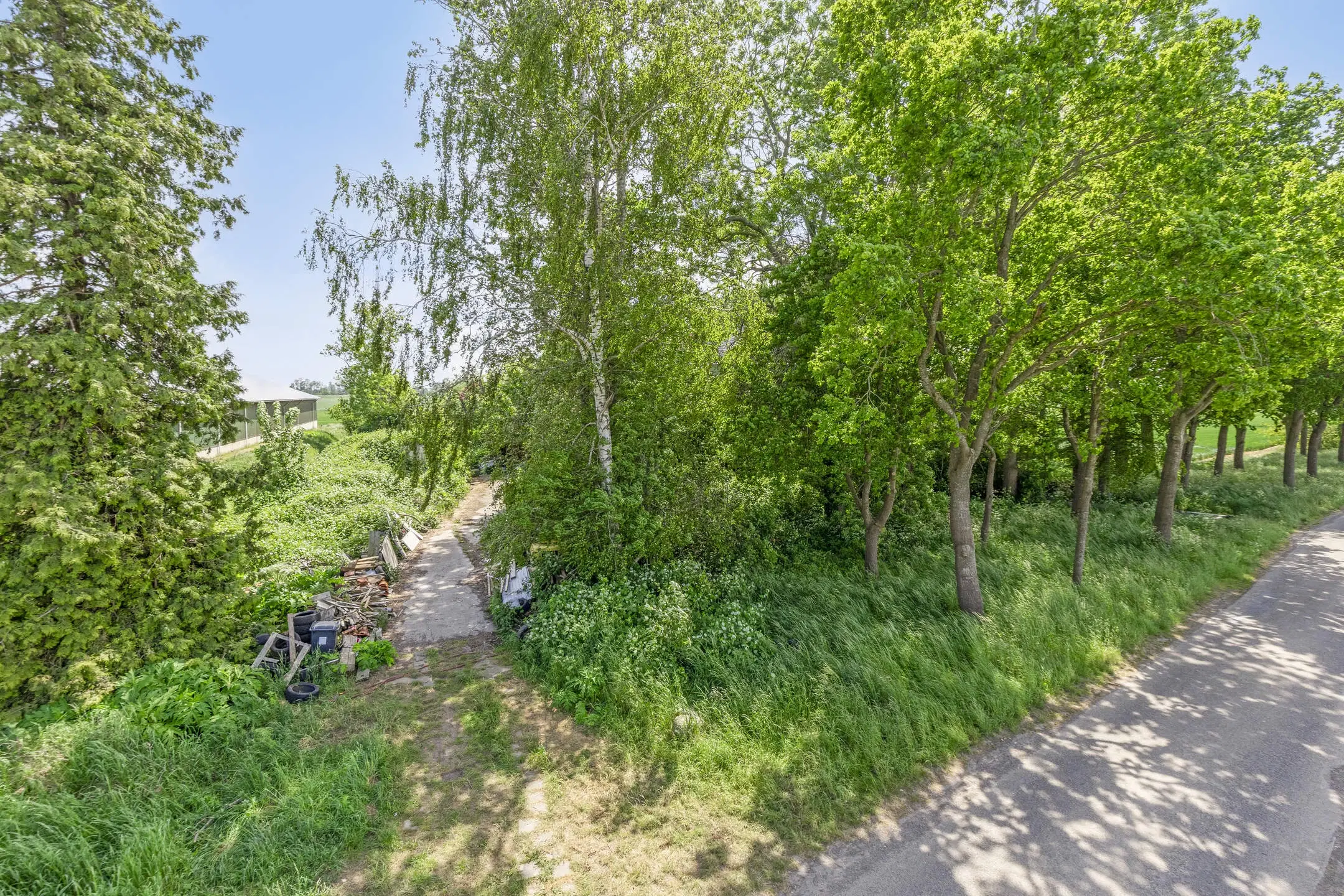 Bellingwolde, Hamsterweg 24