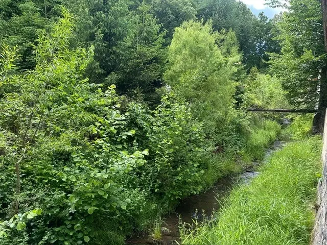 Traditioneel "Hans en Grietje" woonhuis in Wittgendorf - Duitsland