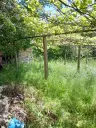 Woning aan de rivier met bijgebouw en 1.100 m² grond in Podgore, Vidin - Bulgarije