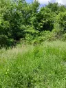 Woning aan de rivier met bijgebouw en 1.100 m² grond in Podgore, Vidin - Bulgarije