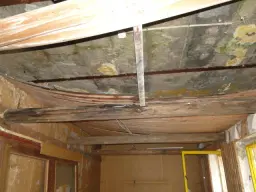 Herontwikkelingsland op 40.000 m² grond nabij Erfurt - Dösnitz - Duitsland