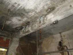 Herontwikkelingsland op 40.000 m² grond nabij Erfurt - Dösnitz - Duitsland