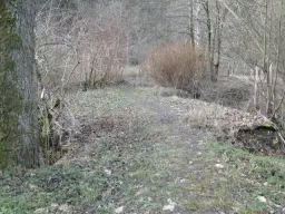 Herontwikkelingsland op 40.000 m² grond nabij Erfurt - Dösnitz - Duitsland