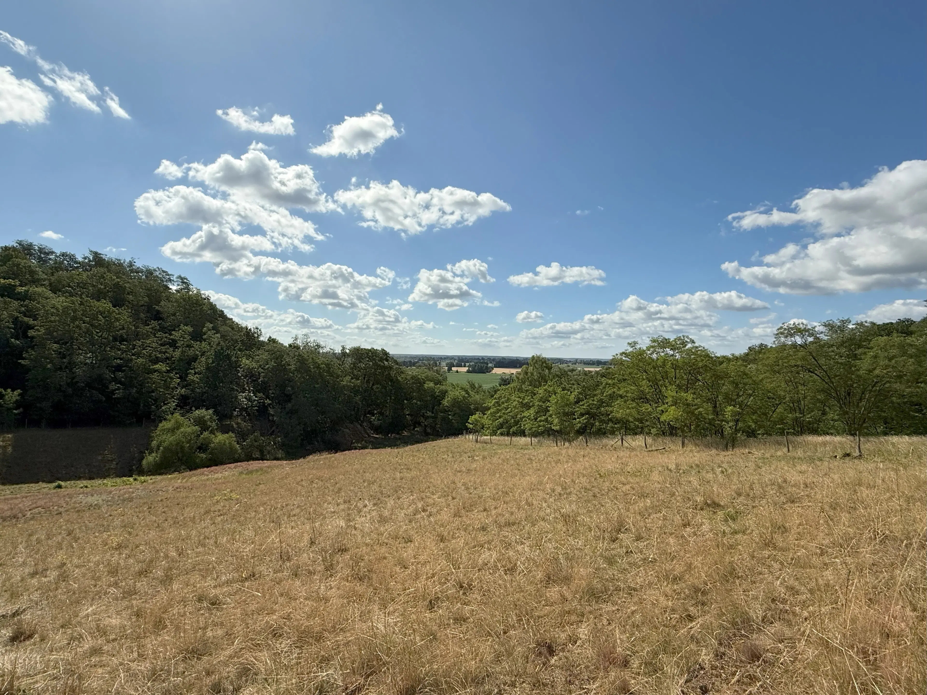 Twee percelen van totaal 1.275 m² in Lebus, Brandenburg - Duitsland