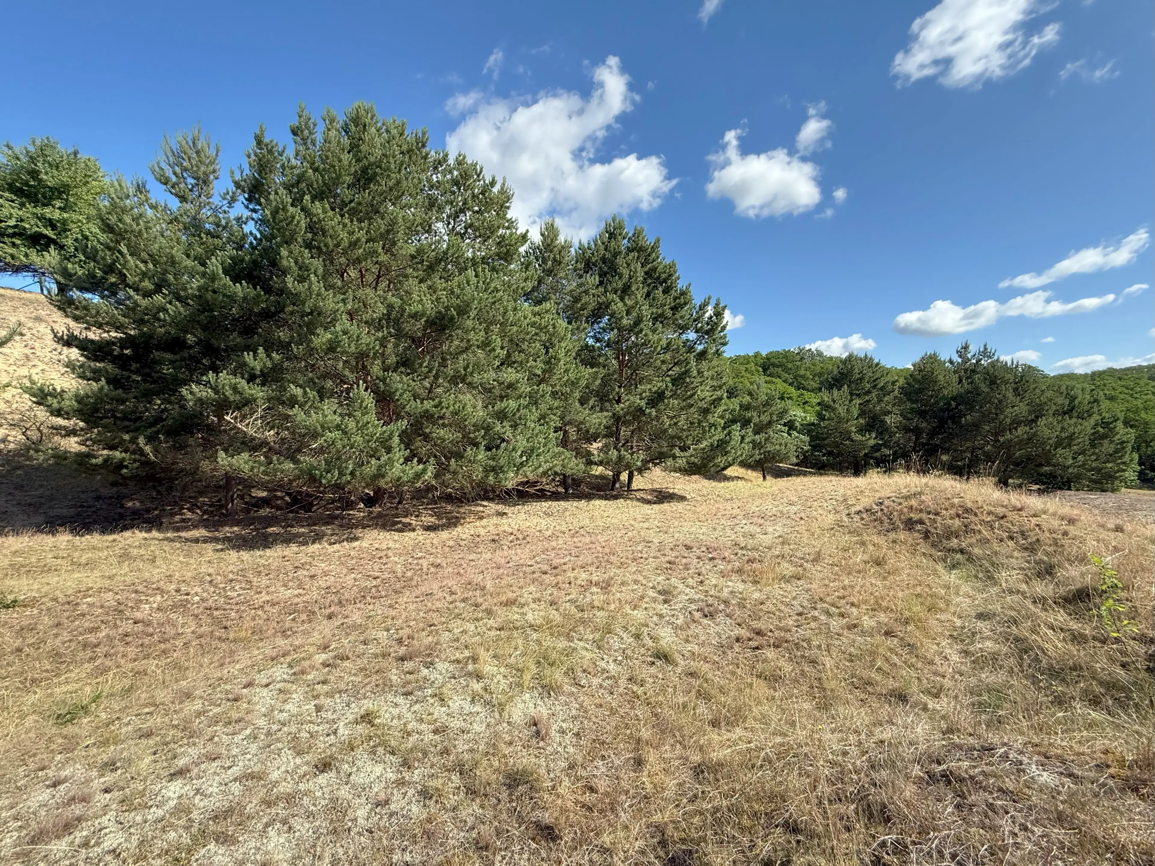 Twee percelen van totaal 1.275 m² in Lebus, Brandenburg - Duitsland