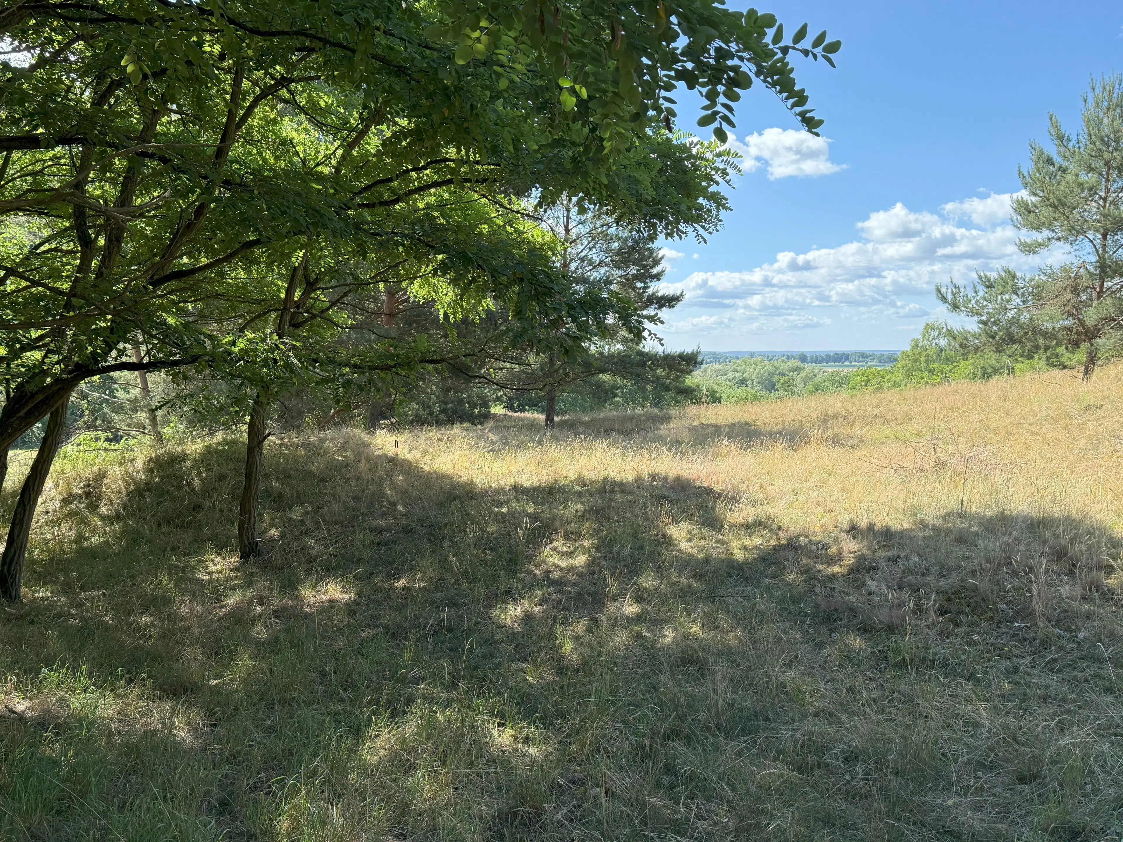 Twee percelen van totaal 1.275 m² in Lebus, Brandenburg - Duitsland