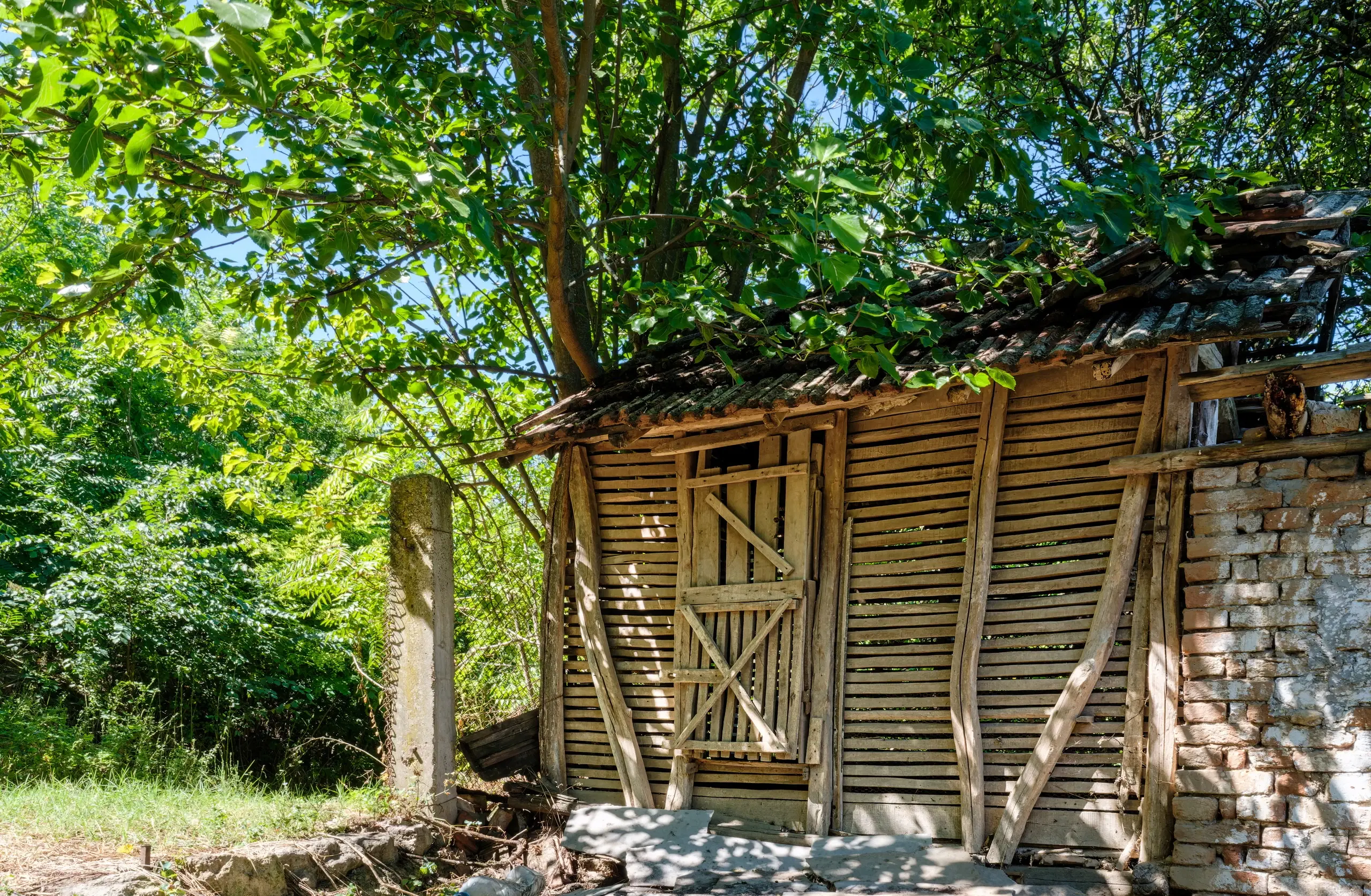 2 verdiepingen tellend huis met uitzicht op de Donau, bijgebouwen + 967 m² grond in Ostrov - Bulgarije