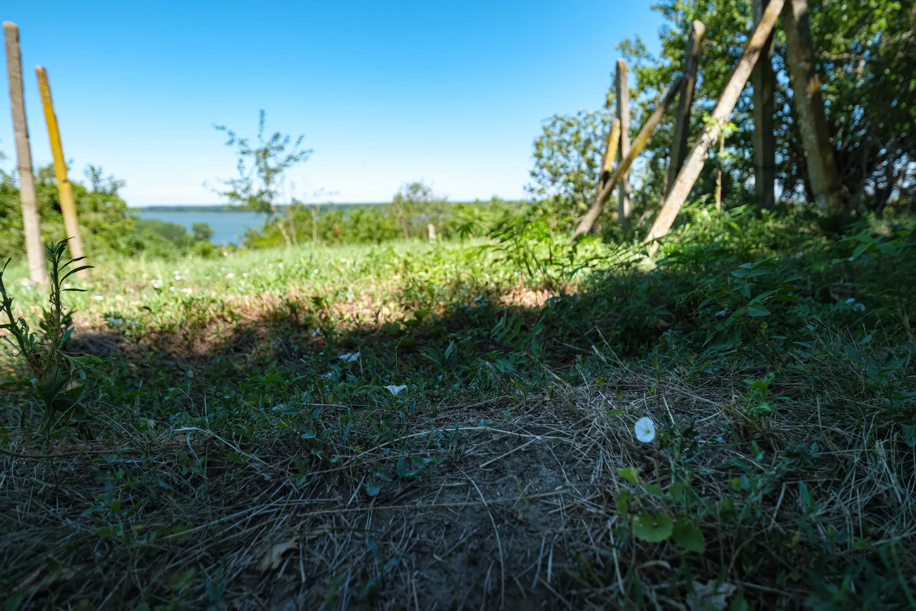 2 verdiepingen tellend huis met uitzicht op de Donau, bijgebouwen + 967 m² grond in Ostrov - Bulgarije