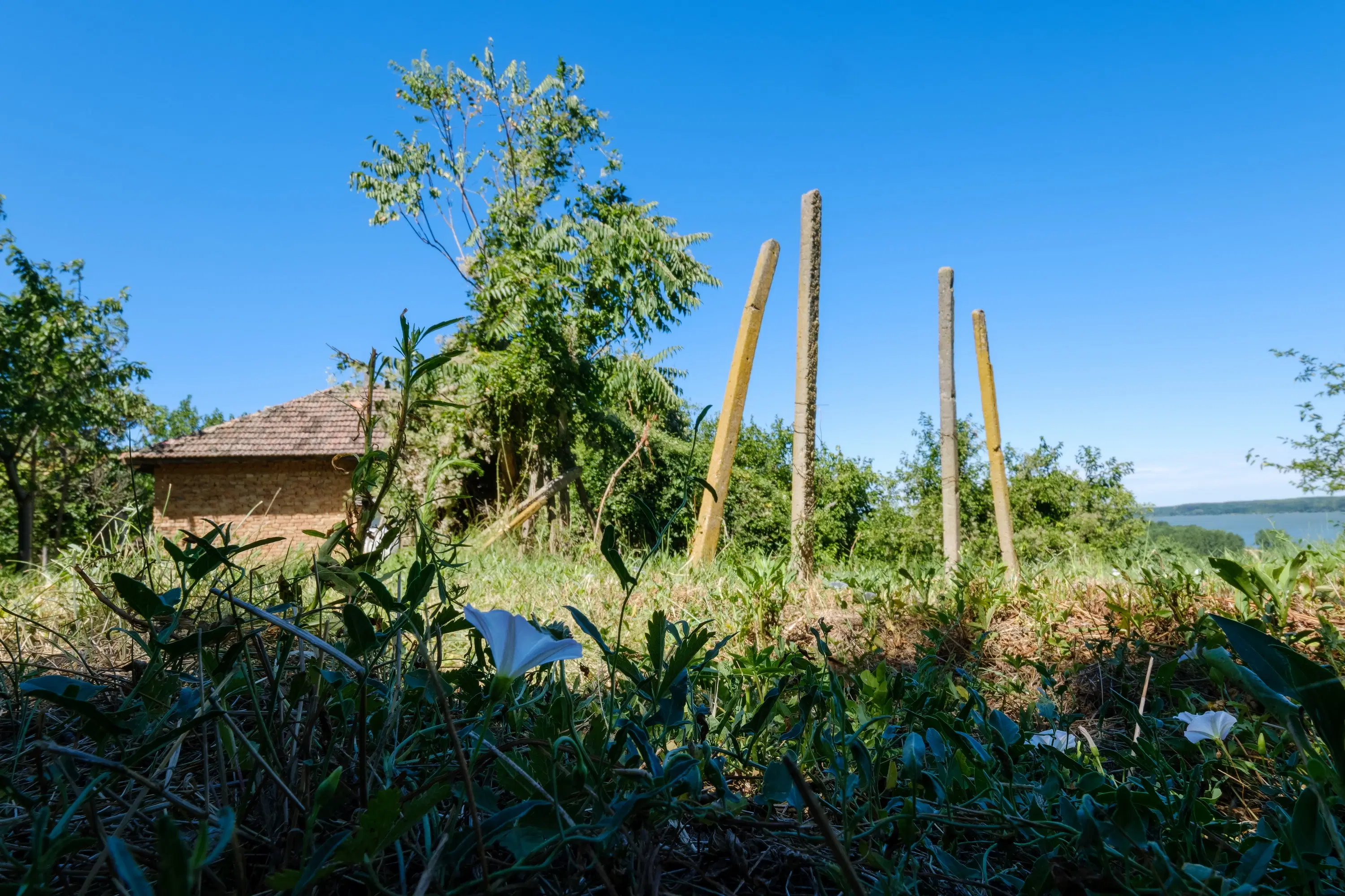 2 verdiepingen tellend huis met uitzicht op de Donau, bijgebouwen + 967 m² grond in Ostrov - Bulgarije