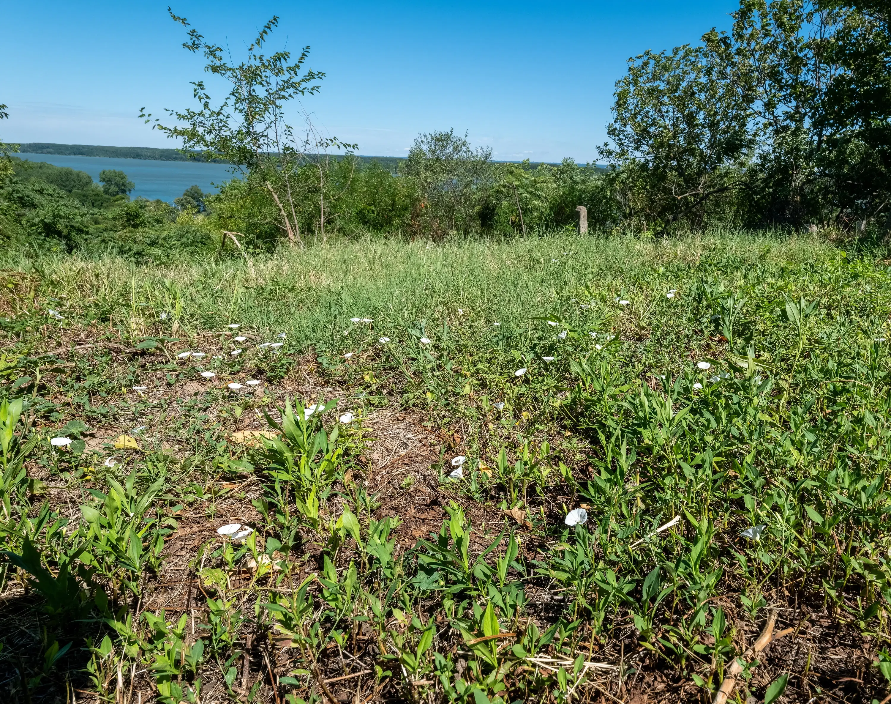 2 verdiepingen tellend huis met uitzicht op de Donau, bijgebouwen + 967 m² grond in Ostrov - Bulgarije