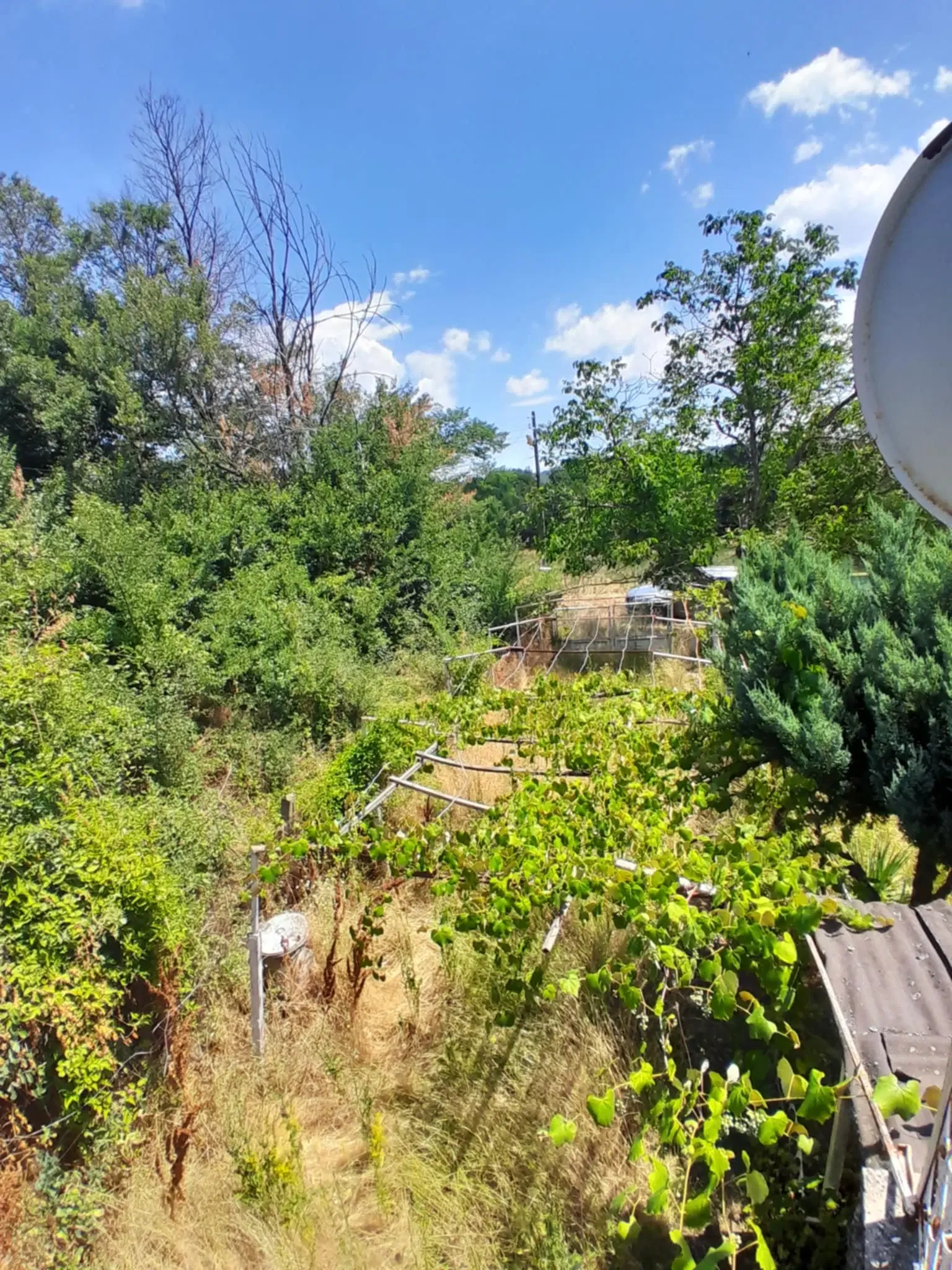 Huis met 2 verdiepingen met 479 m² grond in Staropatitsa, Vidin - Bulgarije
