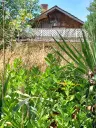 Huis met 2 verdiepingen met 479 m² grond in Staropatitsa, Vidin - Bulgarije