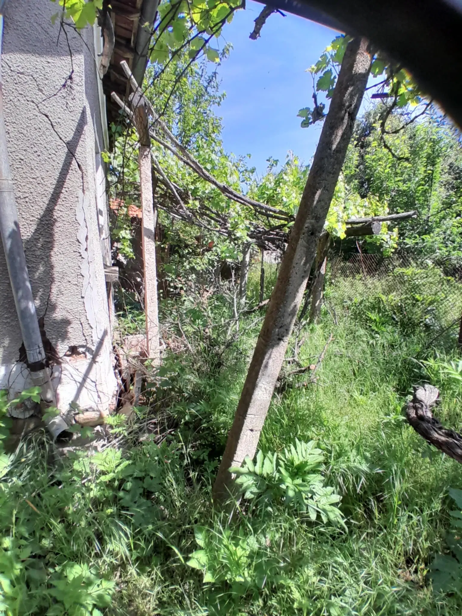 2.480 m² land met 2 huizen en bijgebouwen in Rakovitsa, Vidin - Bulgarije