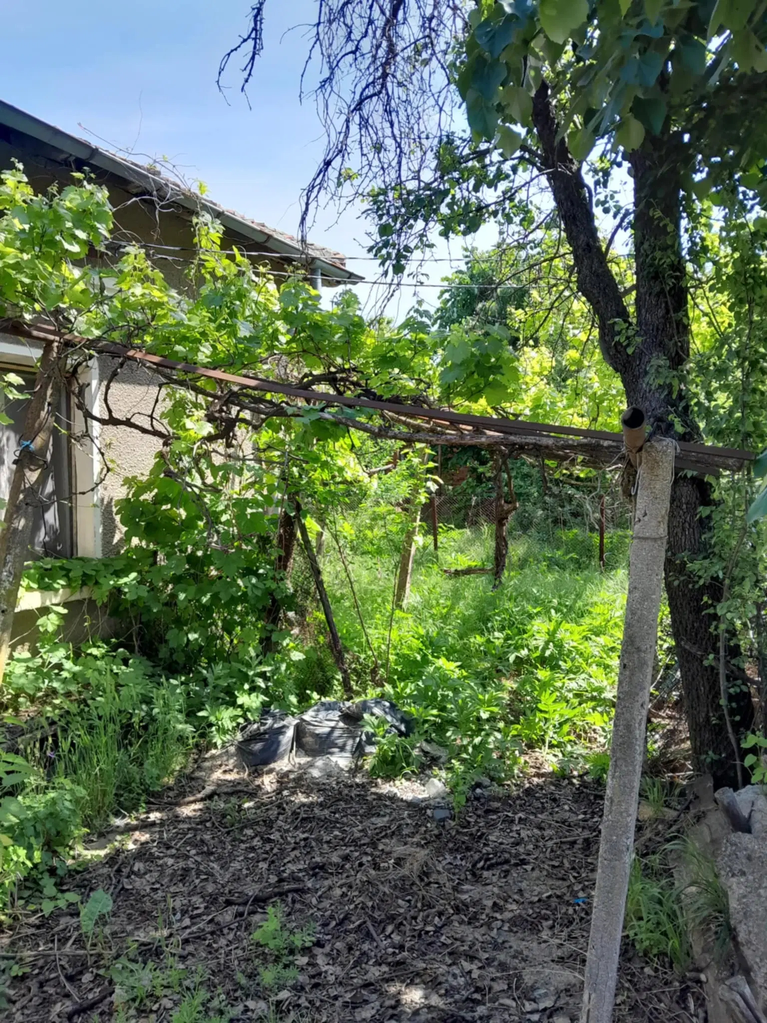 2.480 m² land met 2 huizen en bijgebouwen in Rakovitsa, Vidin - Bulgarije