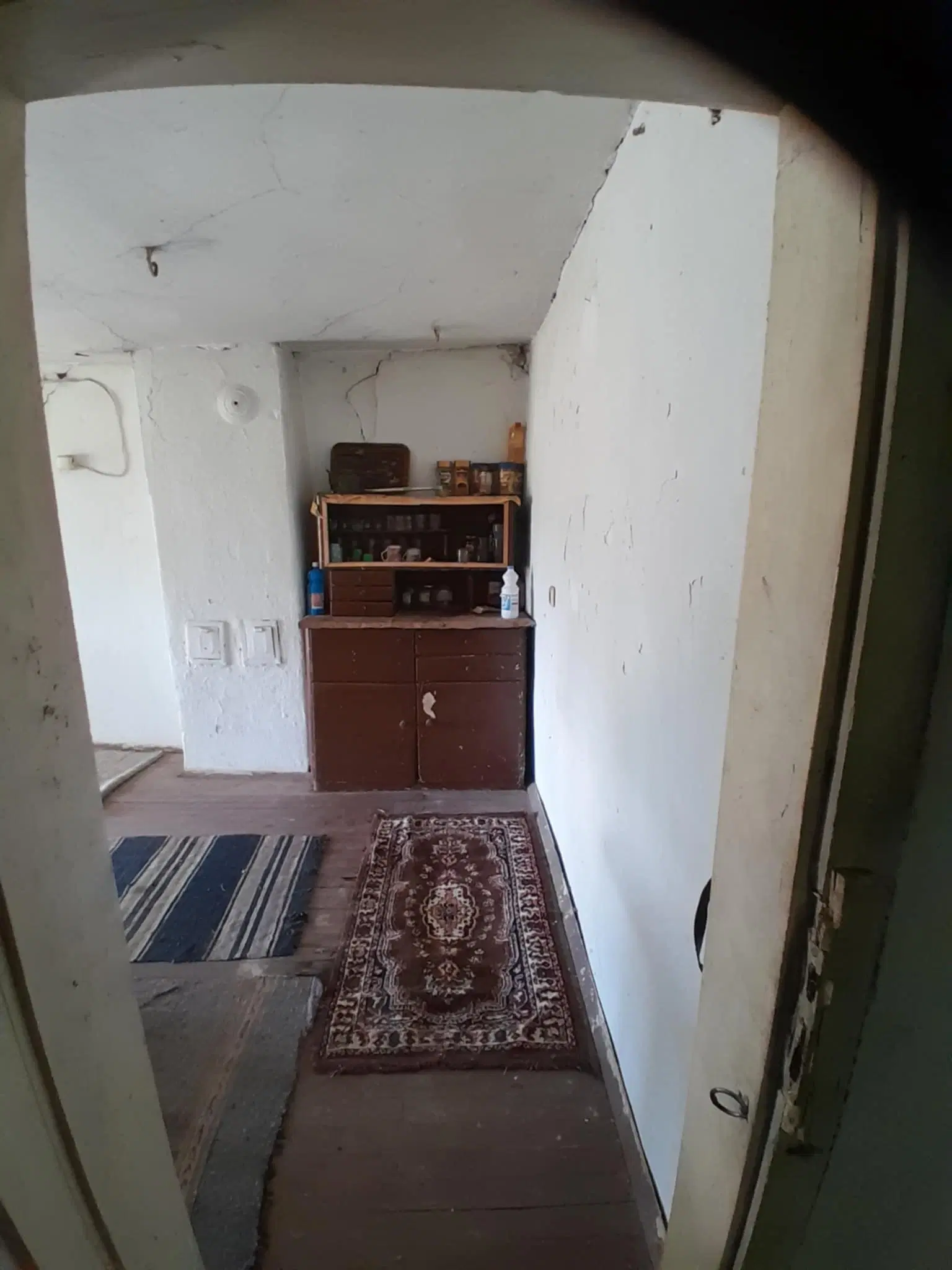2.480 m² land met 2 huizen en bijgebouwen in Rakovitsa, Vidin - Bulgarije