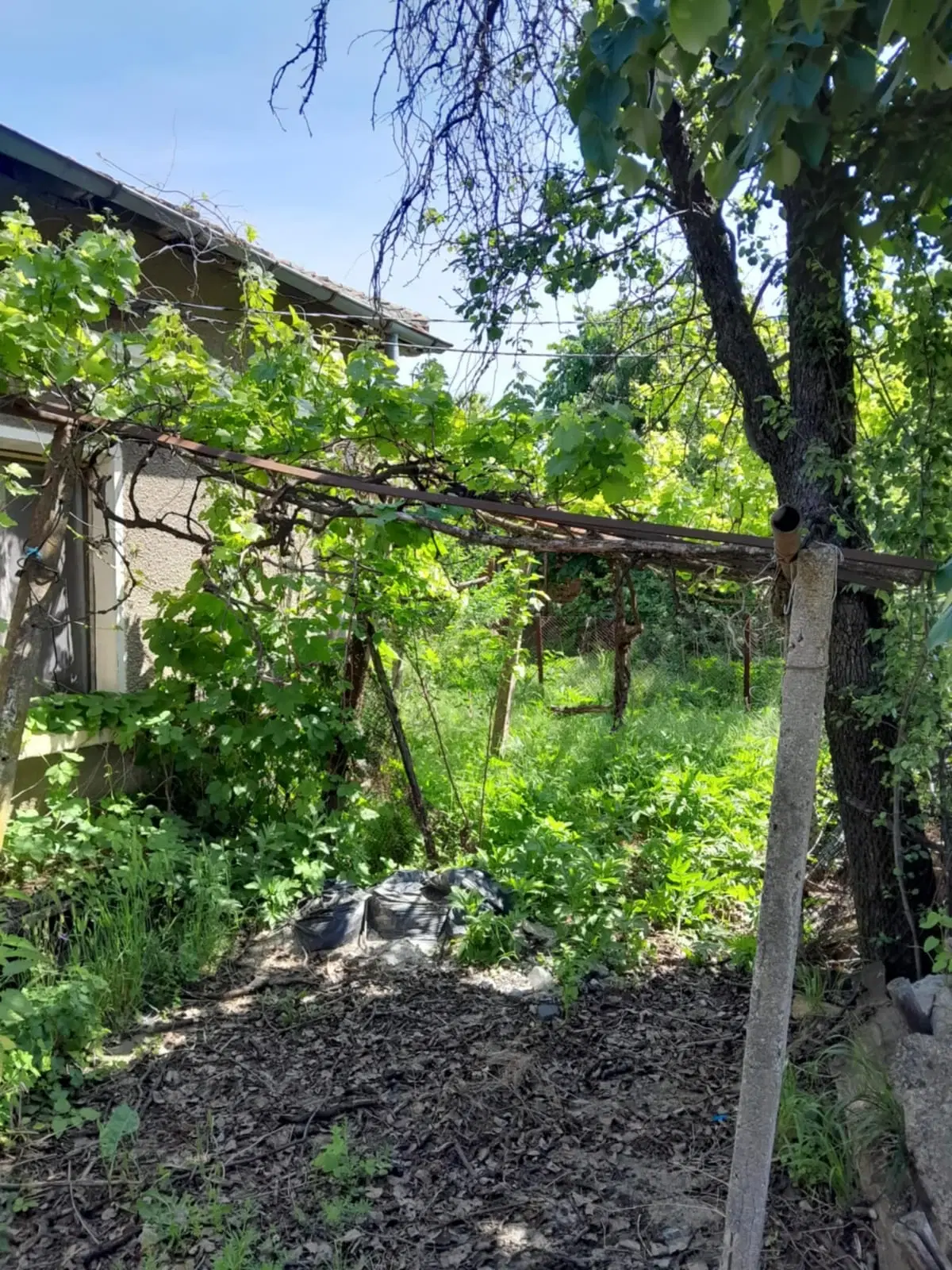2.480 m² land met 2 huizen en bijgebouwen in Rakovitsa, Vidin - Bulgarije