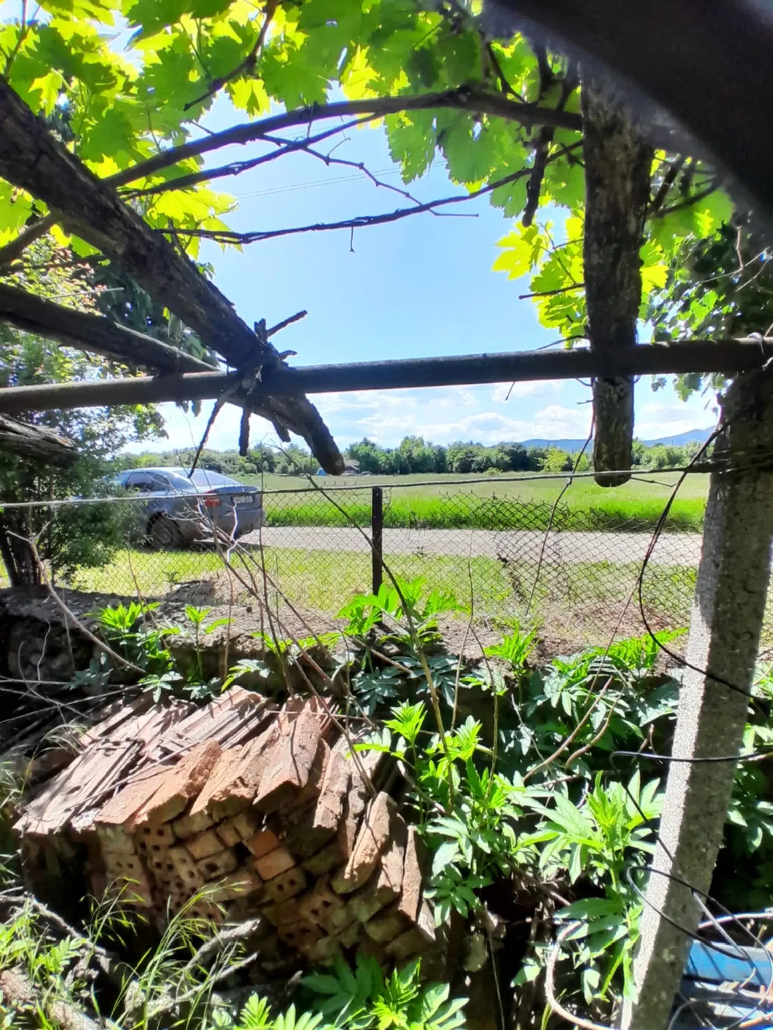 2.480 m² land met 2 huizen en bijgebouwen in Rakovitsa, Vidin - Bulgarije