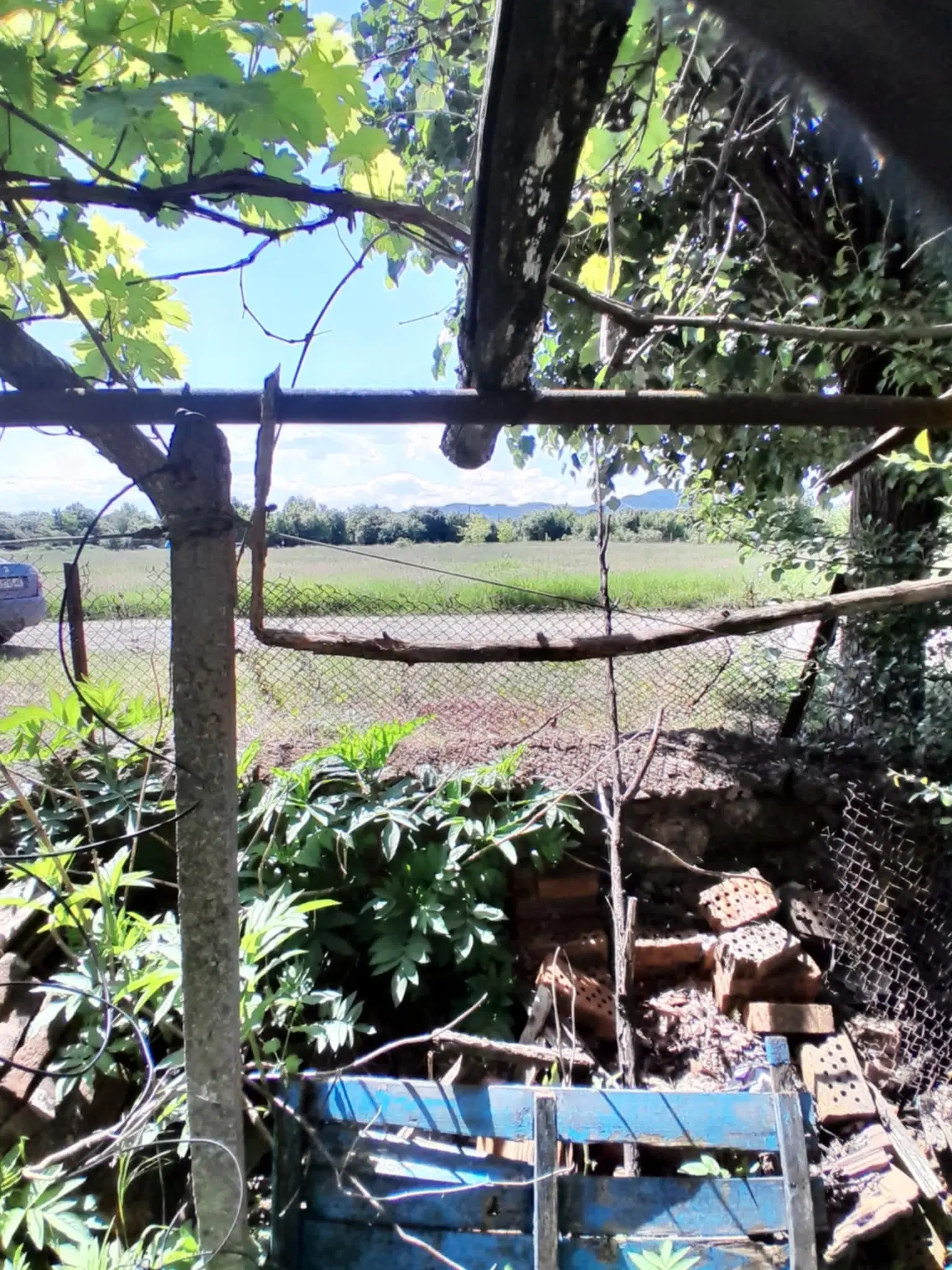 2.480 m² land met 2 huizen en bijgebouwen in Rakovitsa, Vidin - Bulgarije