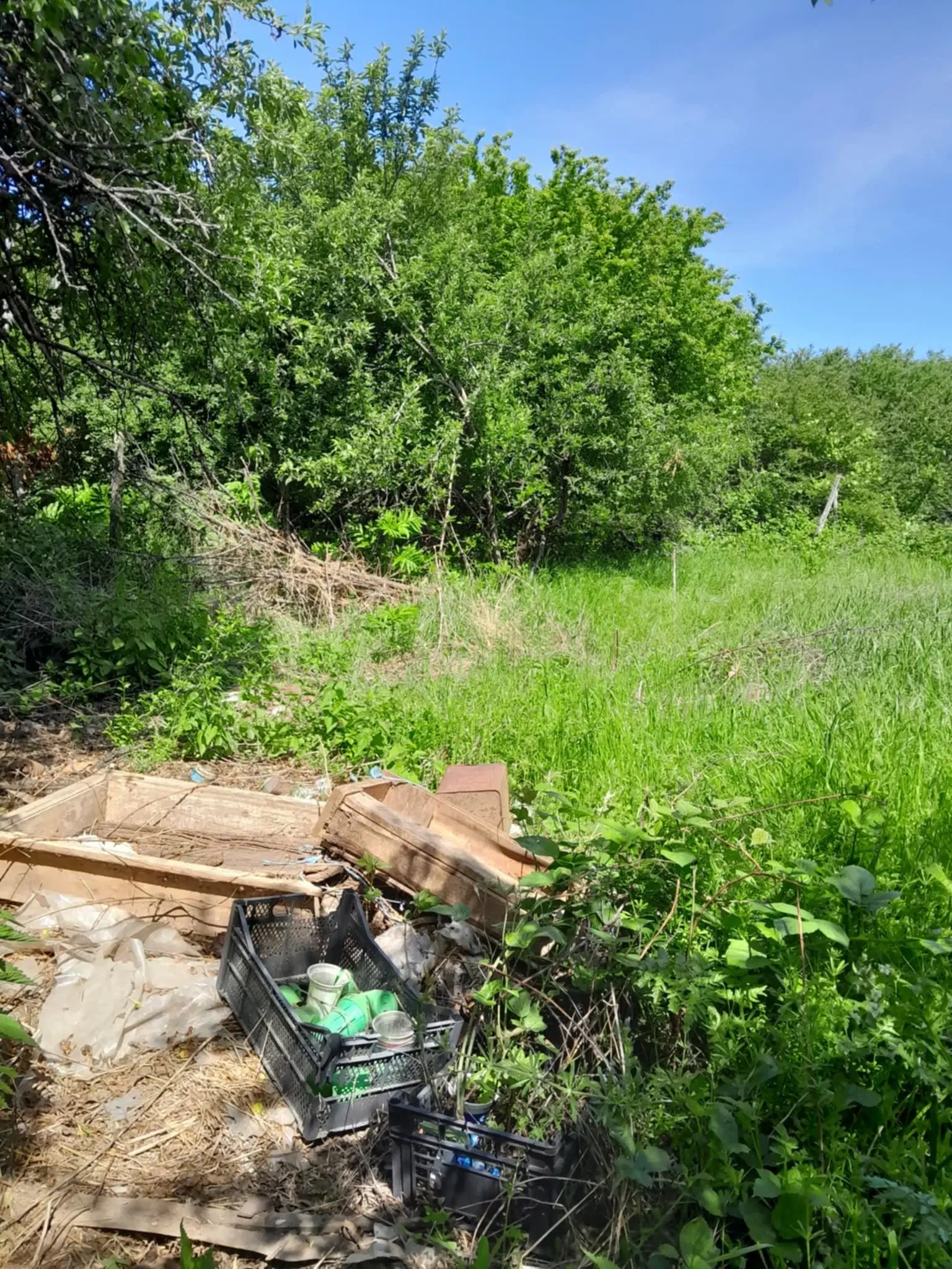 2.480 m² land met 2 huizen en bijgebouwen in Rakovitsa, Vidin - Bulgarije