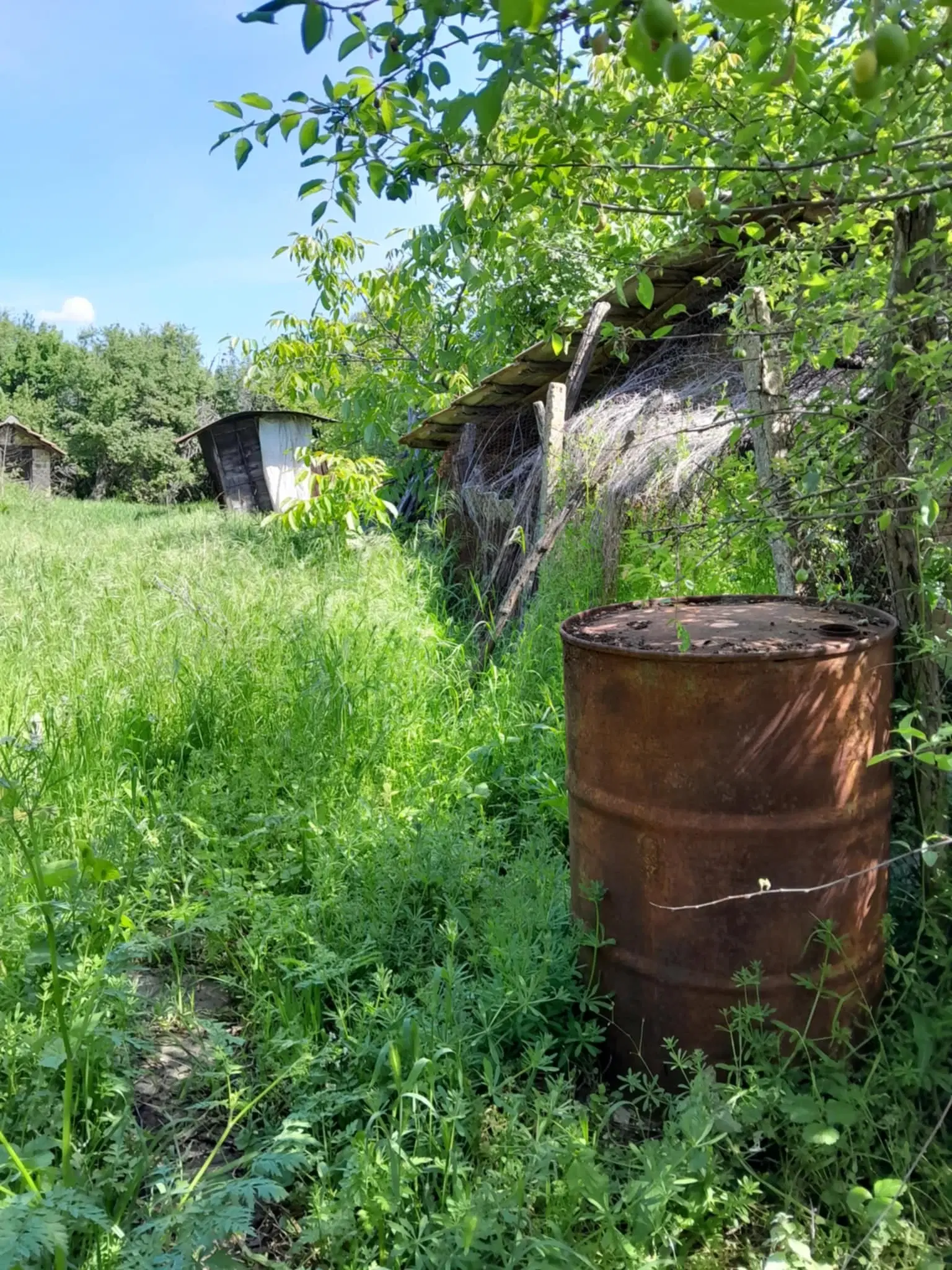 2.480 m² land met 2 huizen en bijgebouwen in Rakovitsa, Vidin - Bulgarije