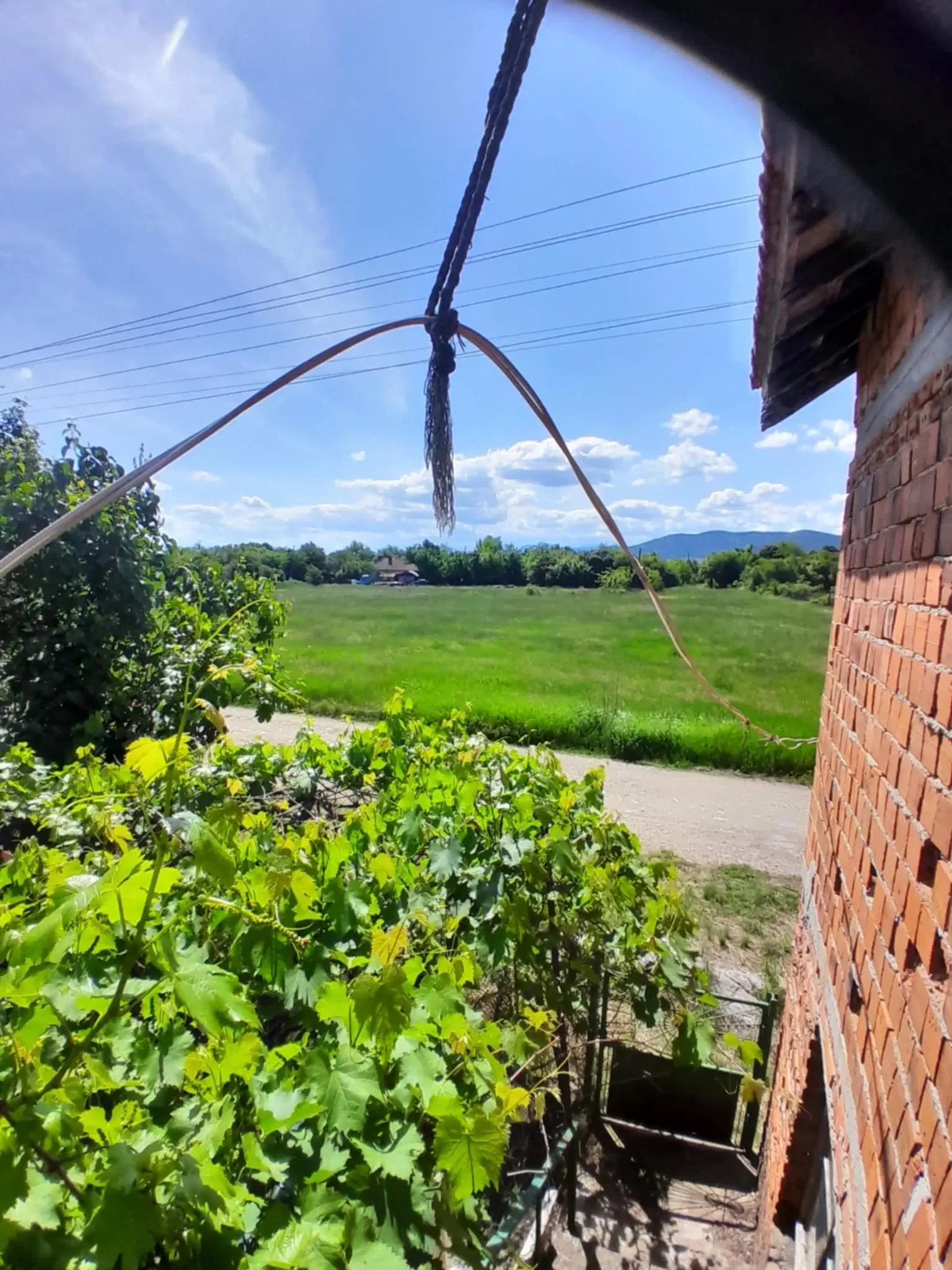 2.480 m² land met 2 huizen en bijgebouwen in Rakovitsa, Vidin - Bulgarije