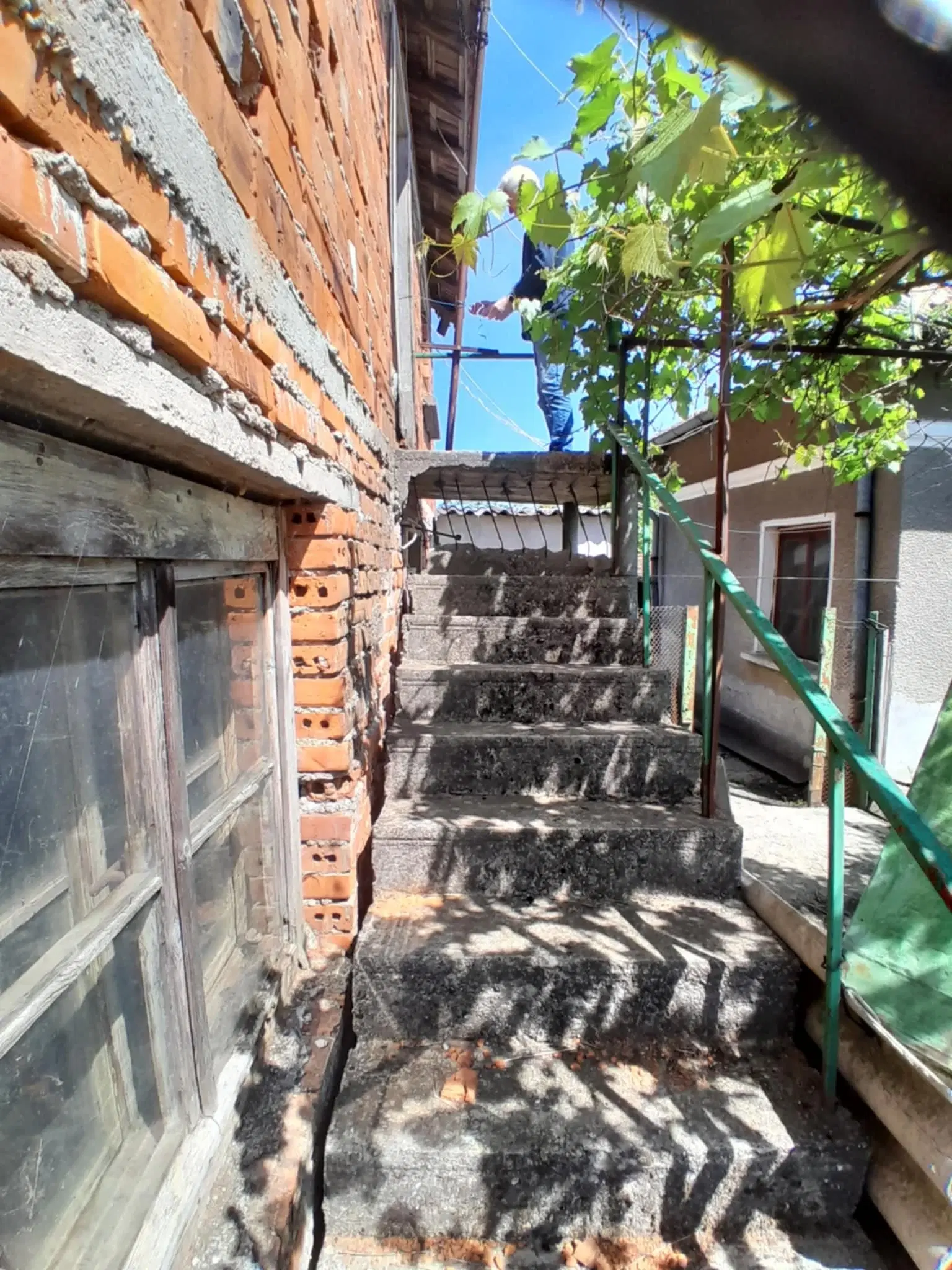 2.480 m² land met 2 huizen en bijgebouwen in Rakovitsa, Vidin - Bulgarije