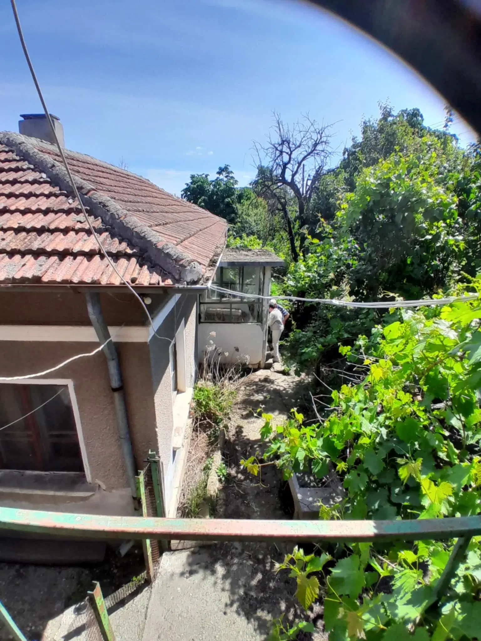 2.480 m² land met 2 huizen en bijgebouwen in Rakovitsa, Vidin - Bulgarije
