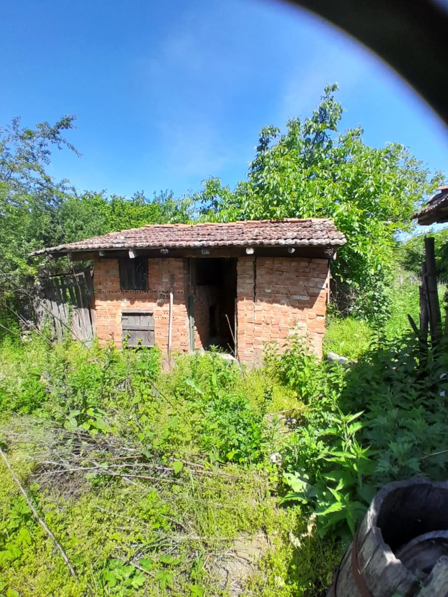 2.480 m² land met 2 huizen en bijgebouwen in Rakovitsa, Vidin - Bulgarije