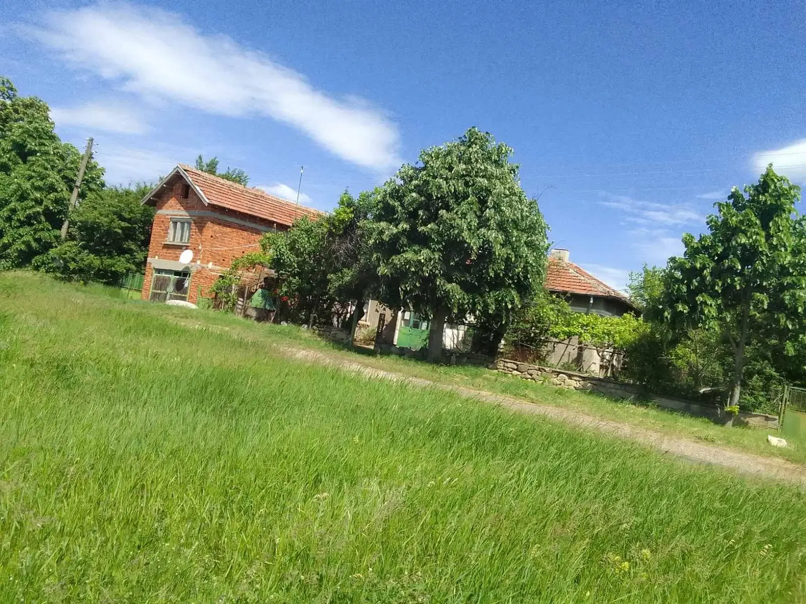 2.480 m² land met 2 huizen en bijgebouwen in Rakovitsa, Vidin - Bulgarije