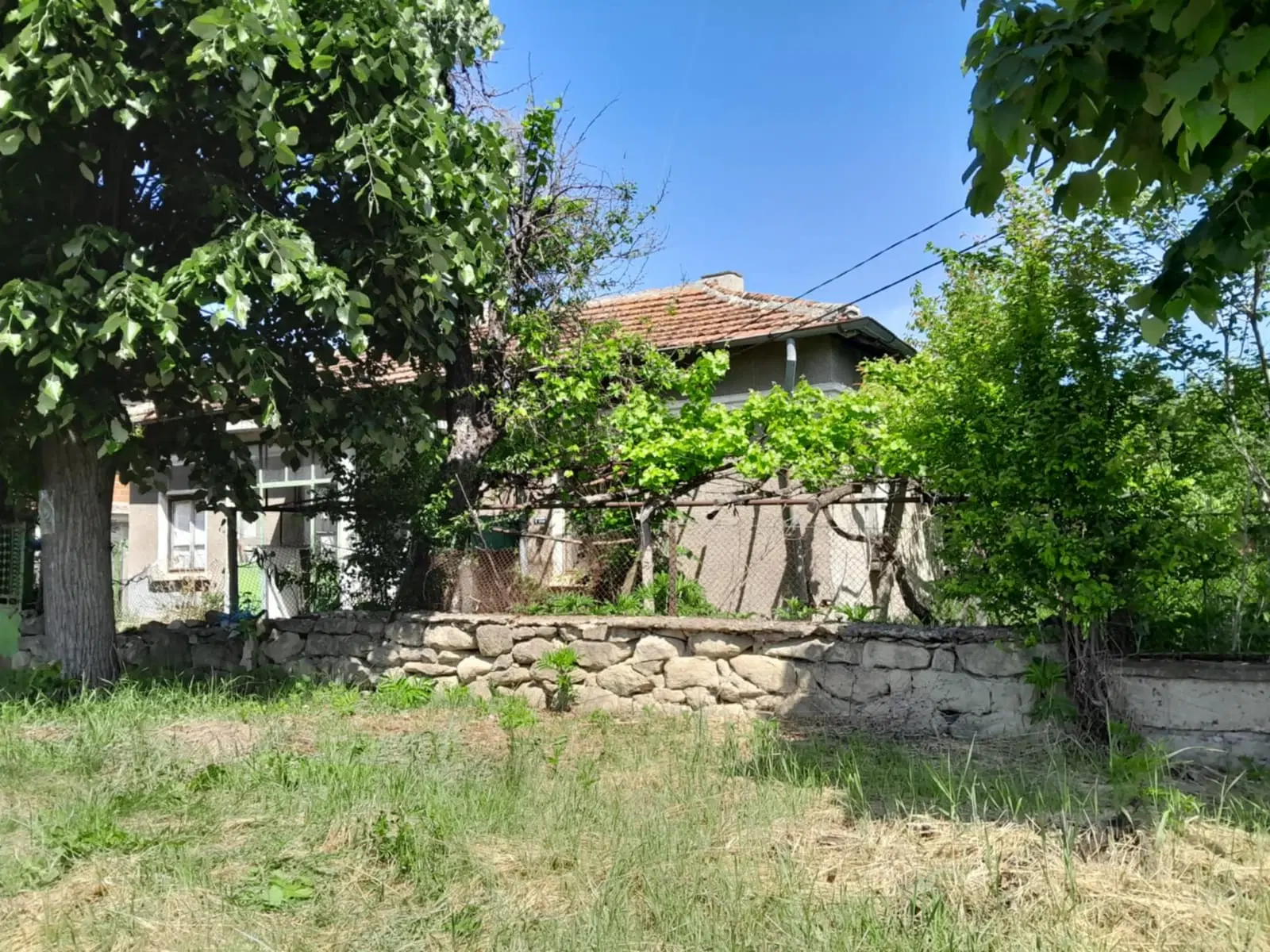 2.480 m² land met 2 huizen en bijgebouwen in Rakovitsa, Vidin - Bulgarije