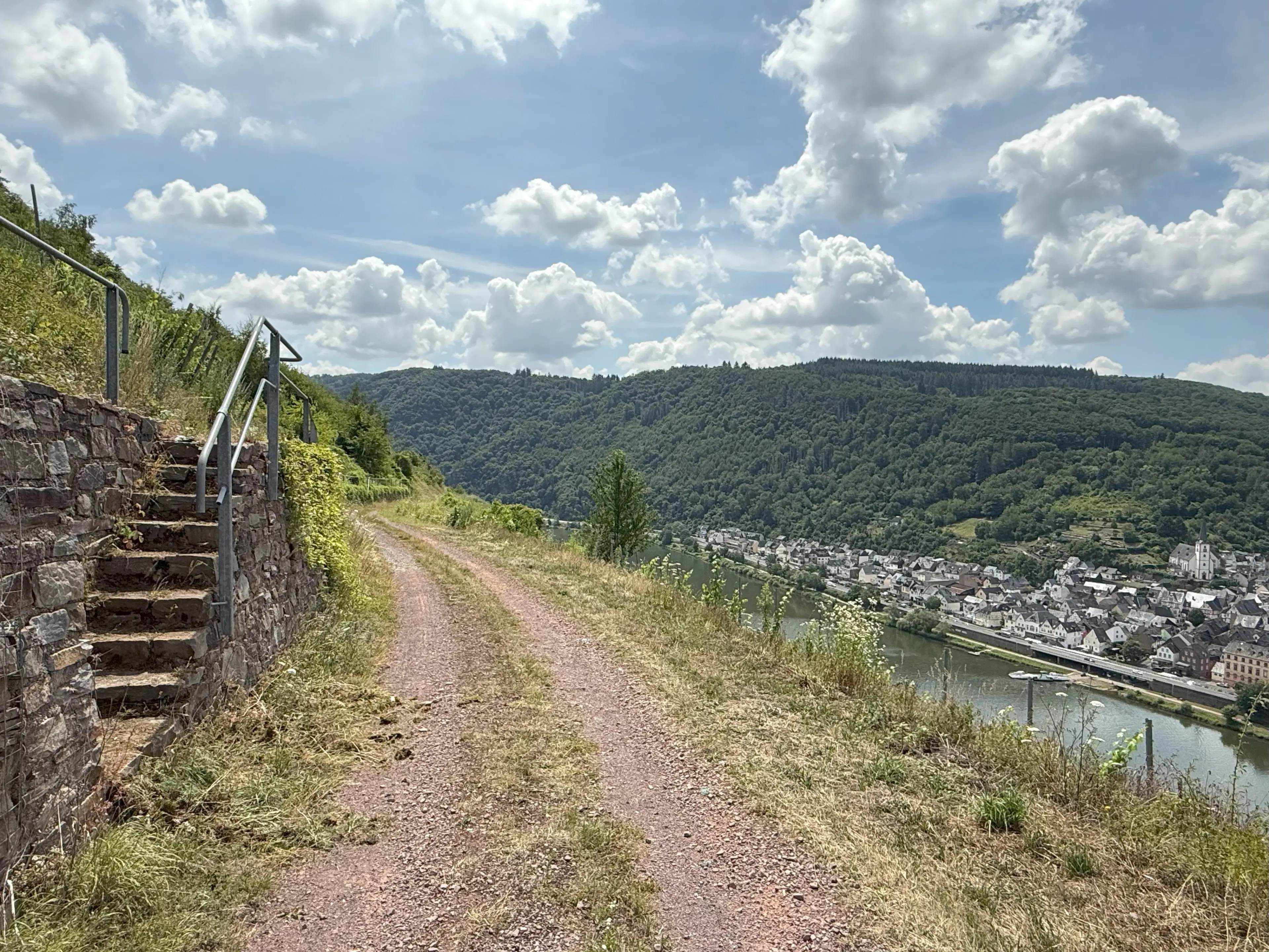 Wijngaard 774 m² met Riesling *direct gebruik mogelijk* in Cochem - Duitsland