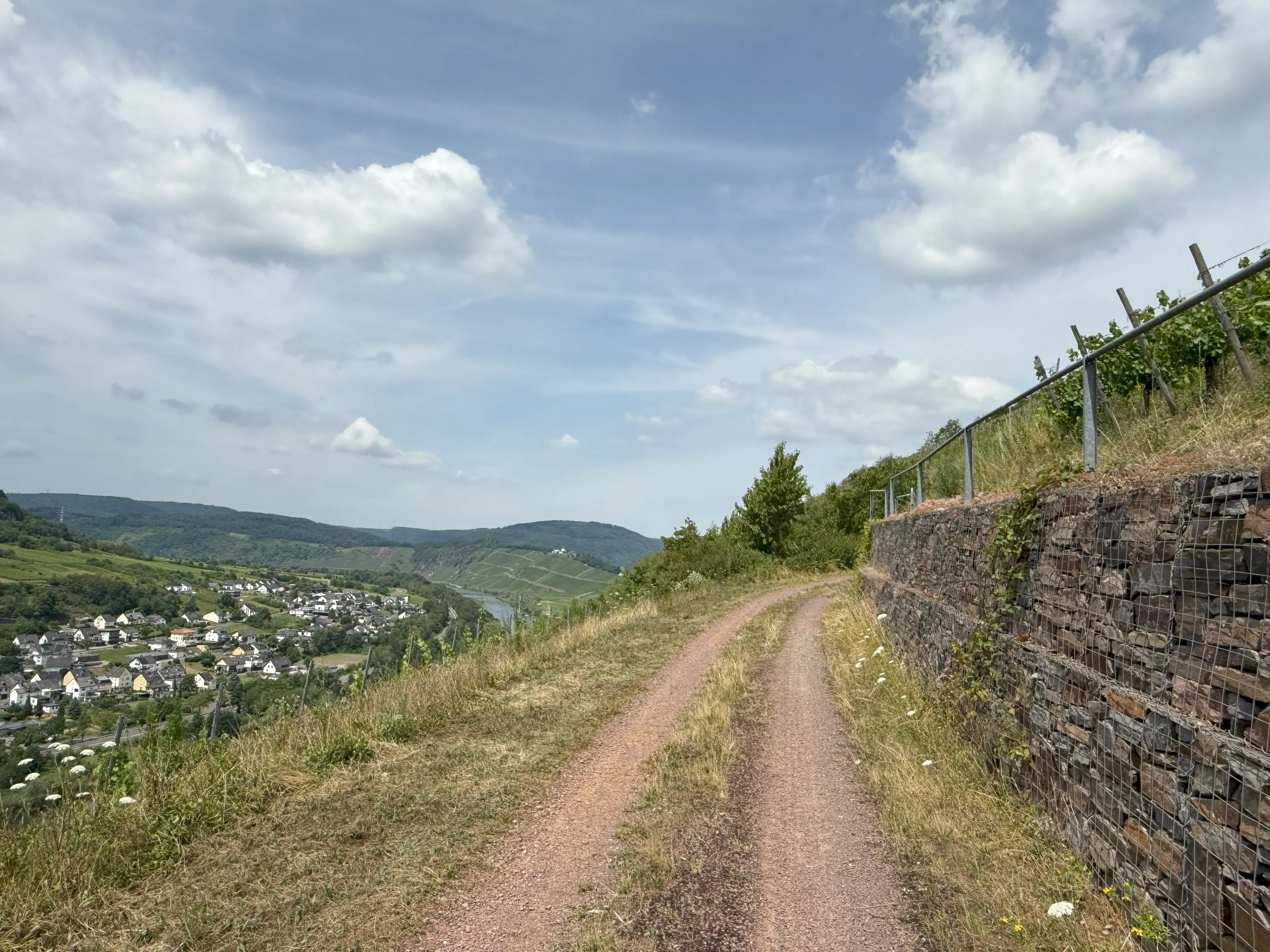 Wijngaard 774 m² met Riesling *direct gebruik mogelijk* in Cochem - Duitsland
