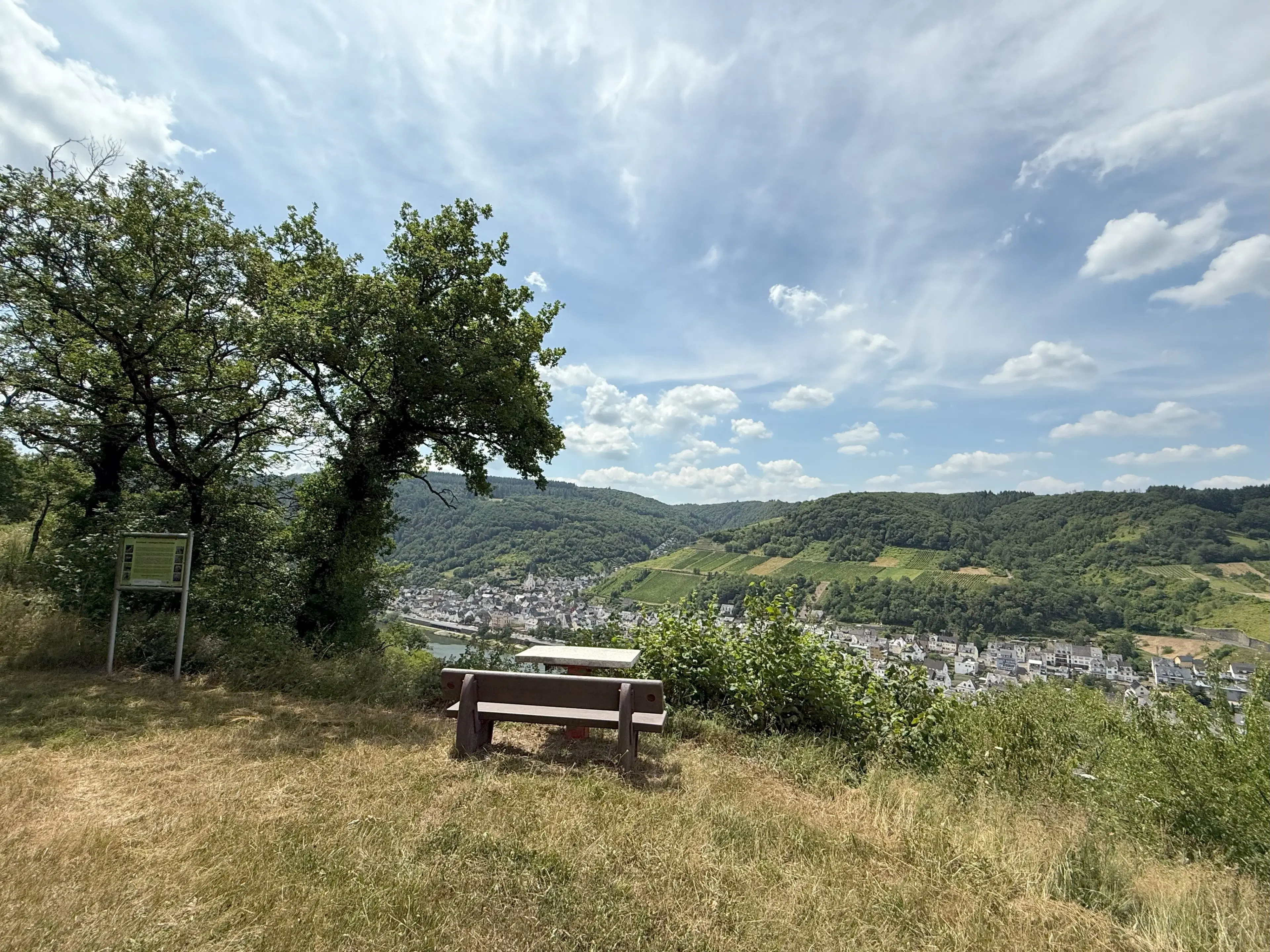 Wijngaard 774 m² met Riesling *direct gebruik mogelijk* in Cochem - Duitsland