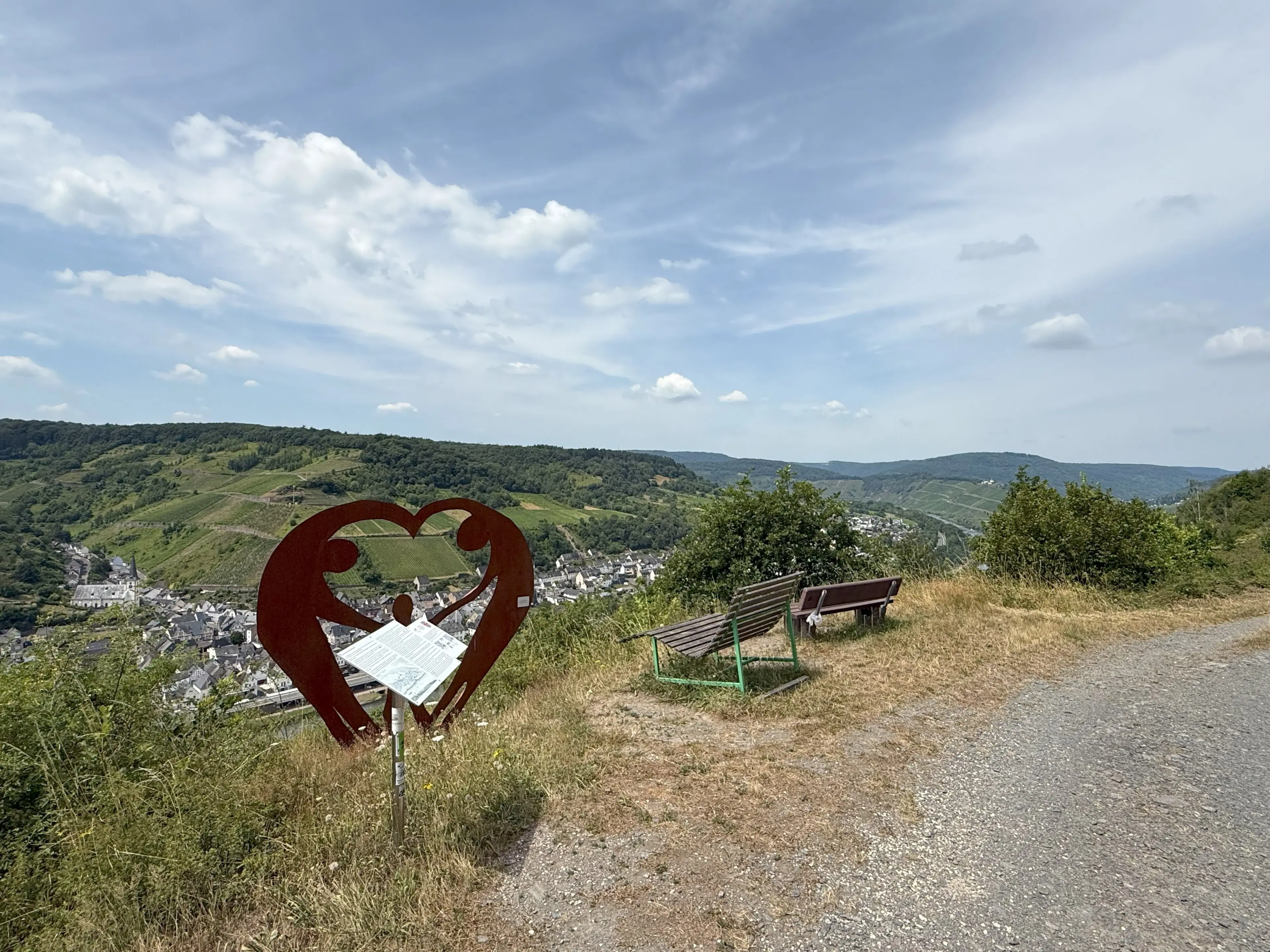 Wijngaard 774 m² met Riesling *direct gebruik mogelijk* in Cochem - Duitsland