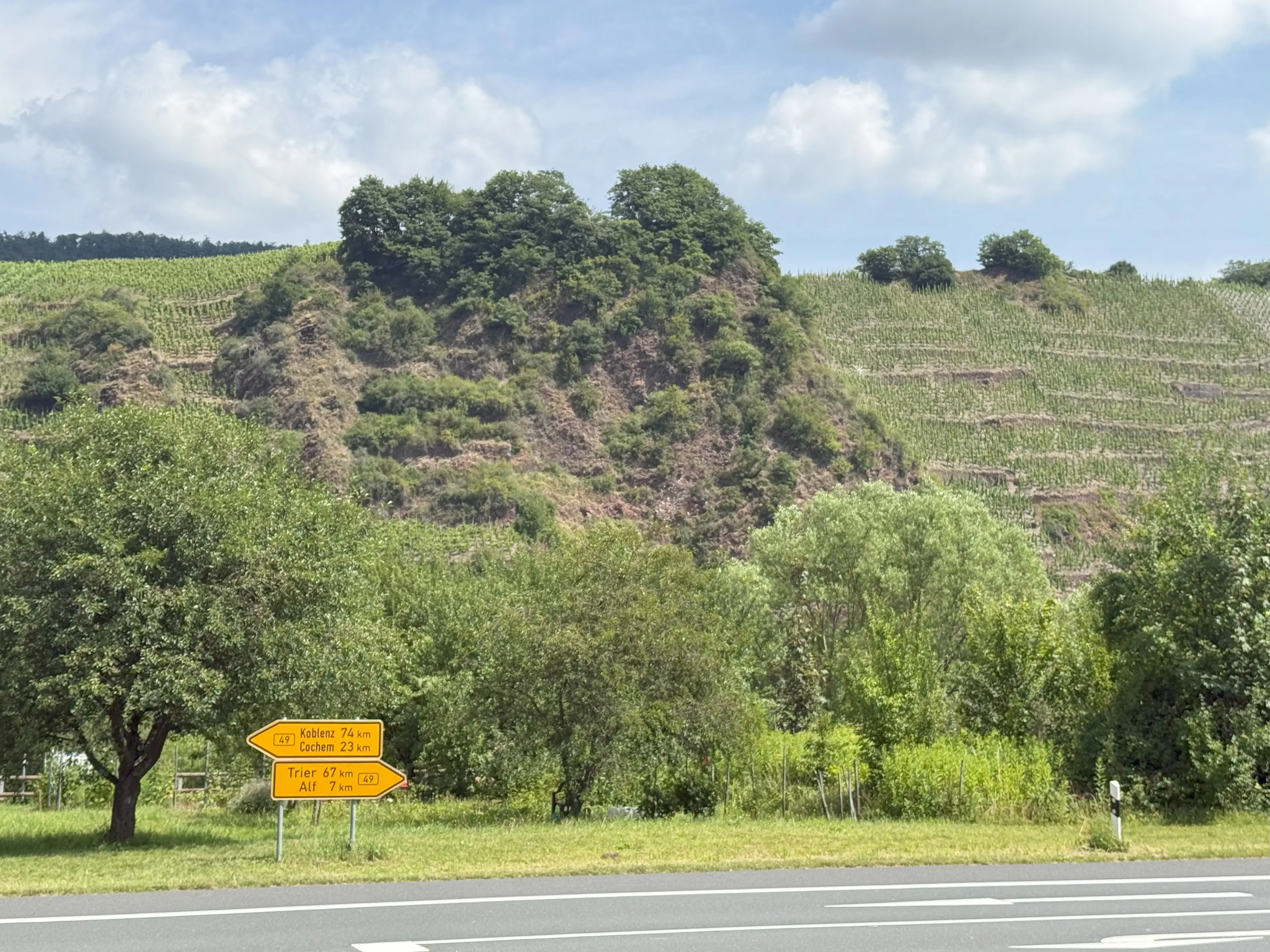 Wijngaard 774 m² met Riesling *direct gebruik mogelijk* in Cochem - Duitsland