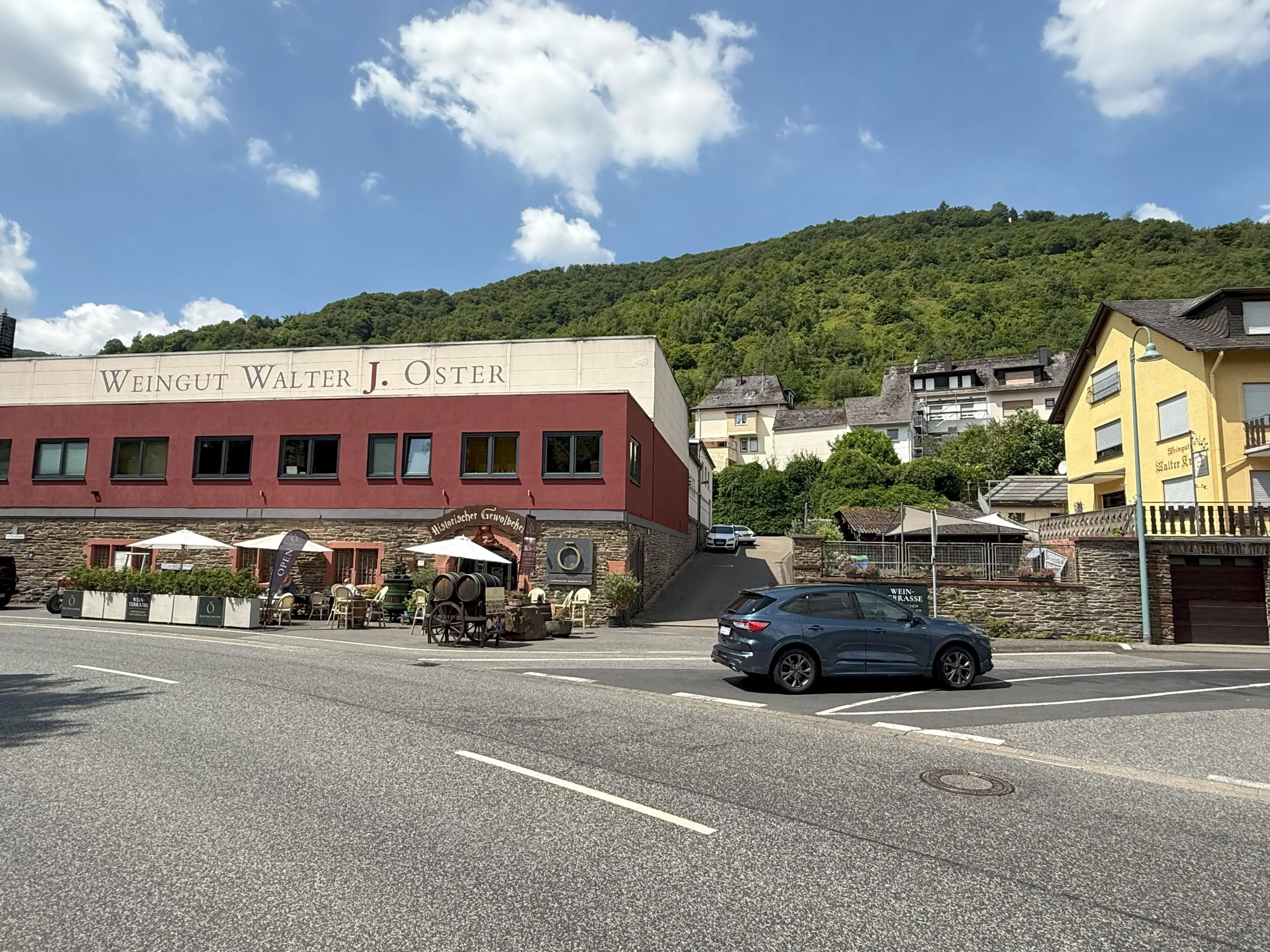 Wijngaard 774 m² met Riesling *direct gebruik mogelijk* in Cochem - Duitsland