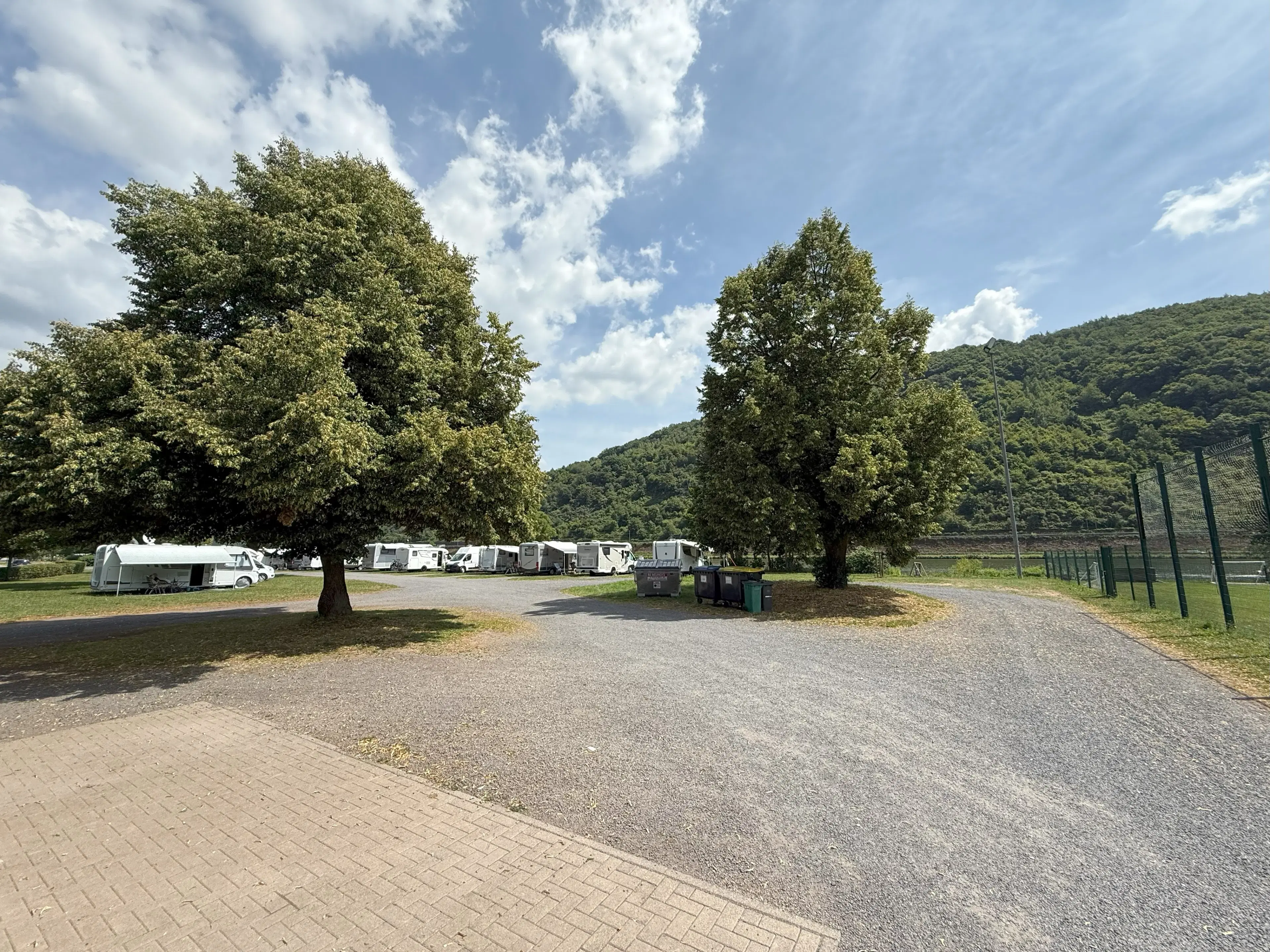 Wijngaard 774 m² met Riesling *direct gebruik mogelijk* in Cochem - Duitsland