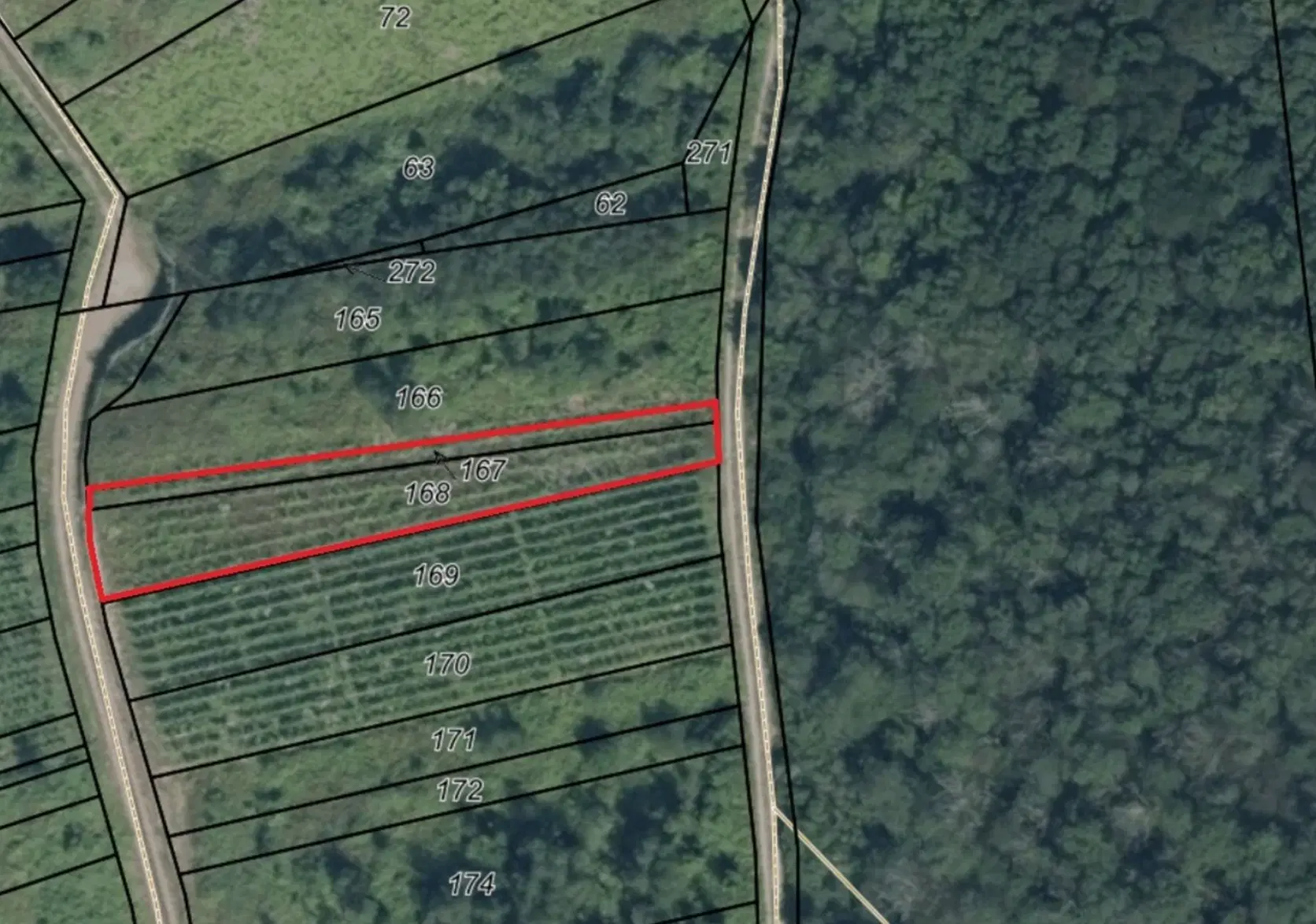 Wijngaard 774 m² met Riesling *direct gebruik mogelijk* in Cochem - Duitsland