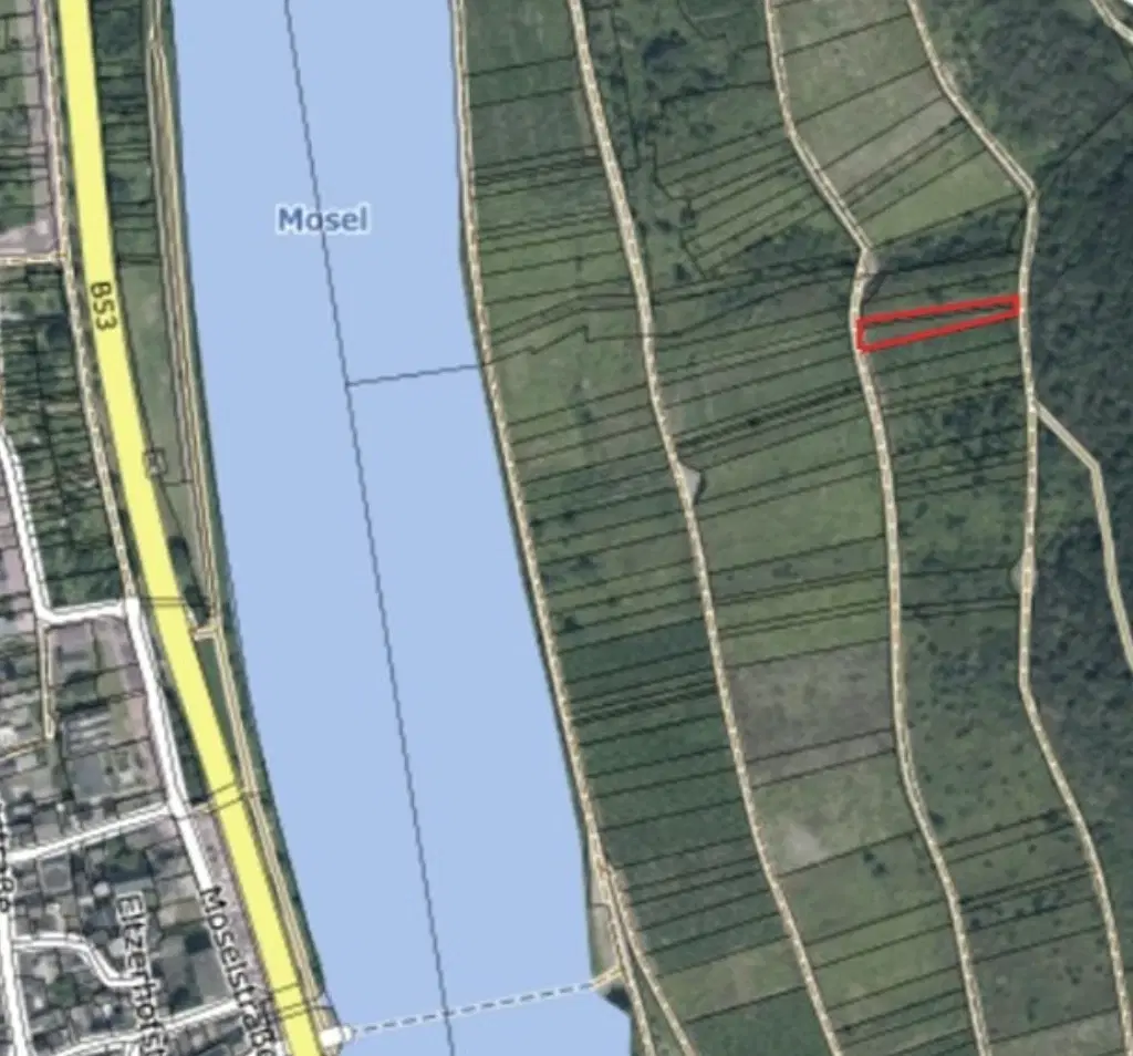 Wijngaard 774 m² met Riesling *direct gebruik mogelijk* in Cochem - Duitsland