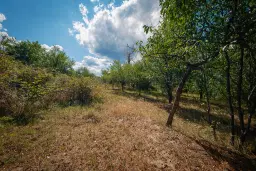 1.490 m² boomgaard met 2 oude huizen en 1 schuur in Podgore, Vidin - Bulgarije