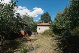 1.490 m² boomgaard met 2 oude huizen en 1 schuur in Podgore, Vidin - Bulgarije