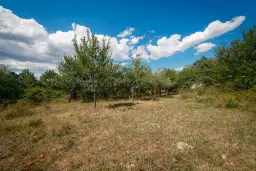 1.490 m² boomgaard met 2 oude huizen en 1 schuur in Podgore, Vidin - Bulgarije