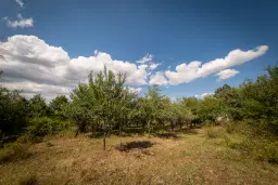 1.490 m² boomgaard met 2 oude huizen en 1 schuur in Podgore, Vidin - Bulgarije